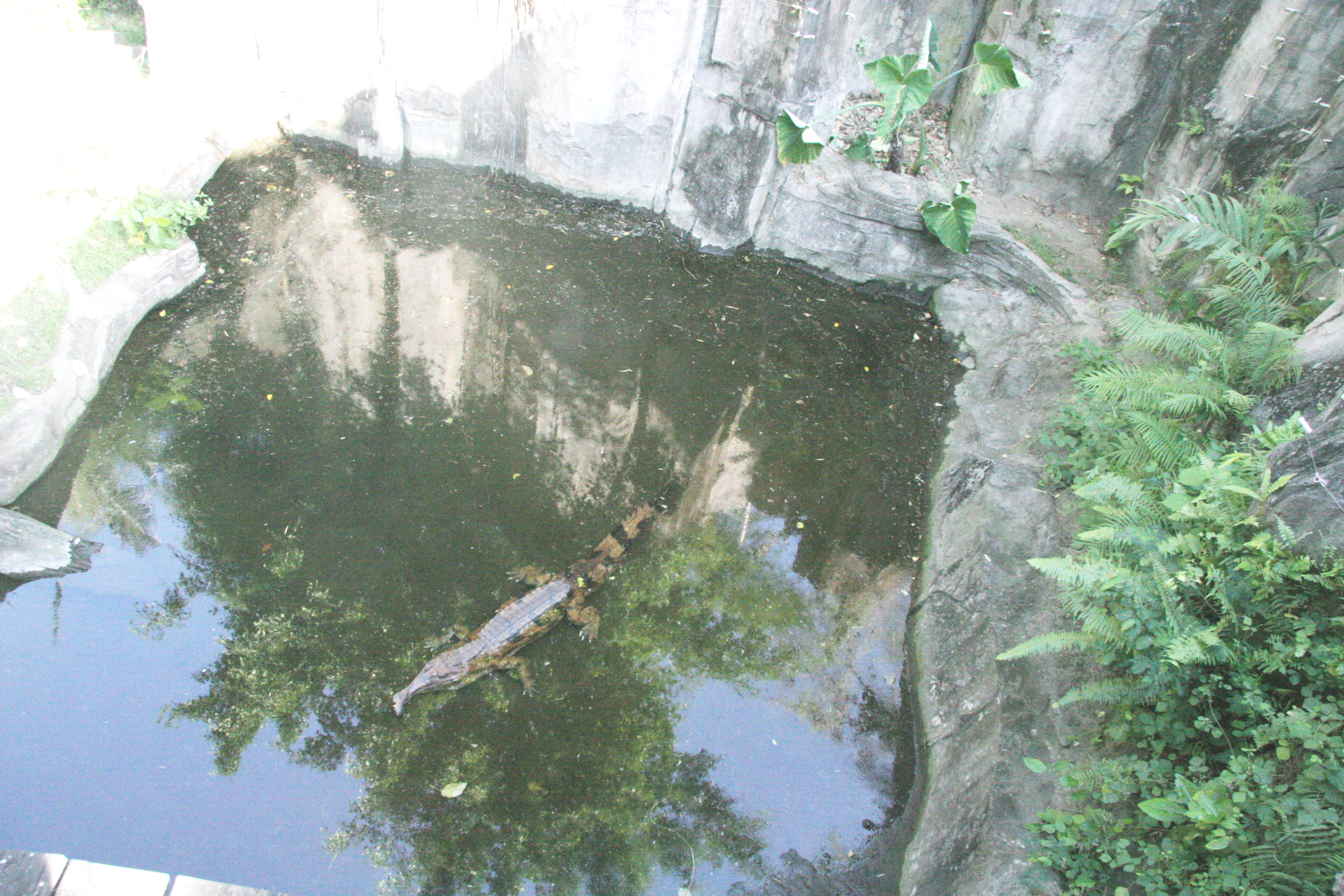 2012-07-02-00789.JPG