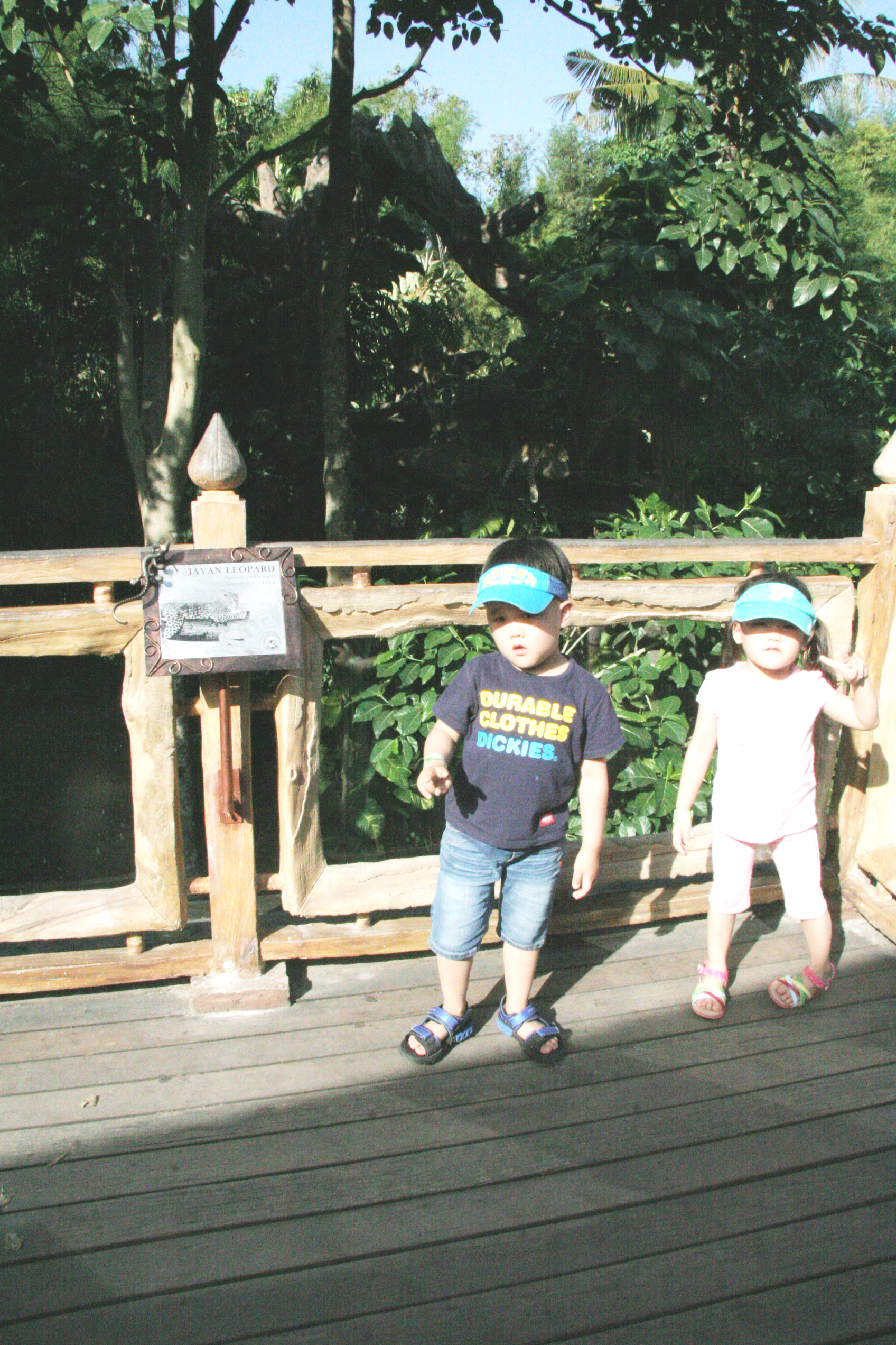 2012-07-02-00794.JPG
