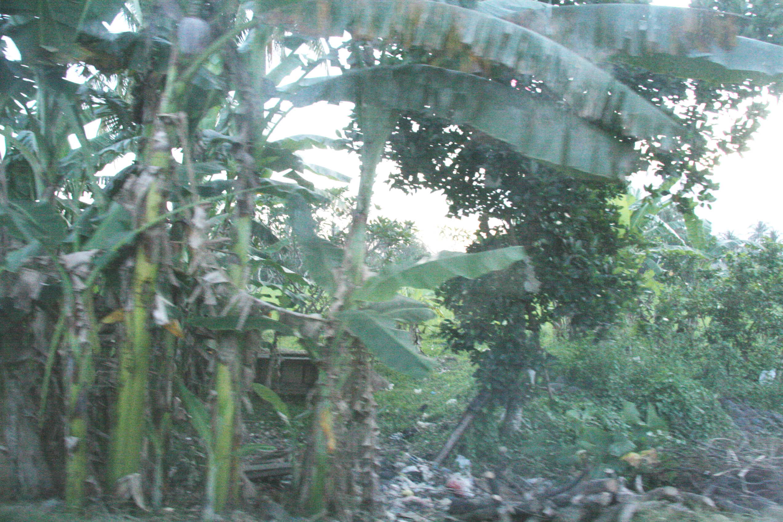 2012-07-02-00829.JPG