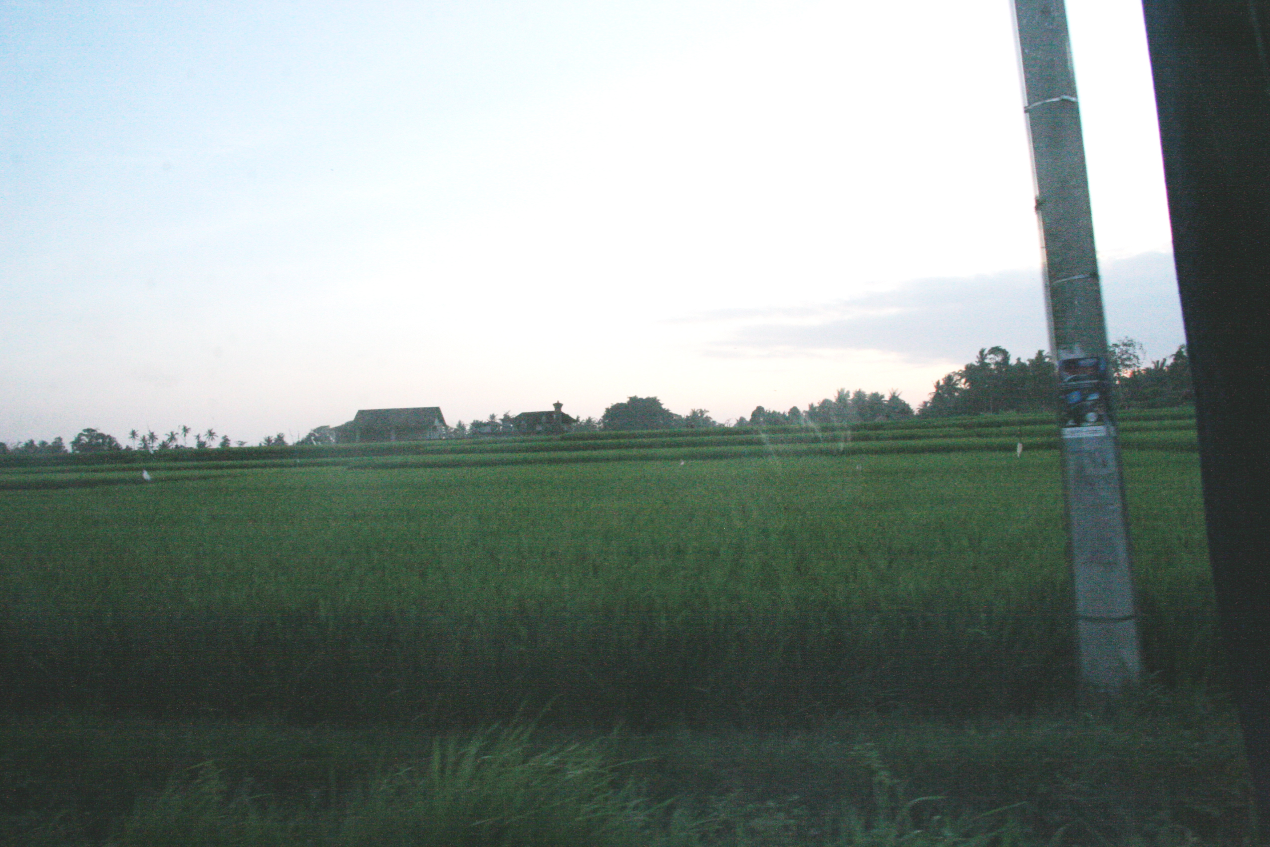 2012-07-02-00830.JPG