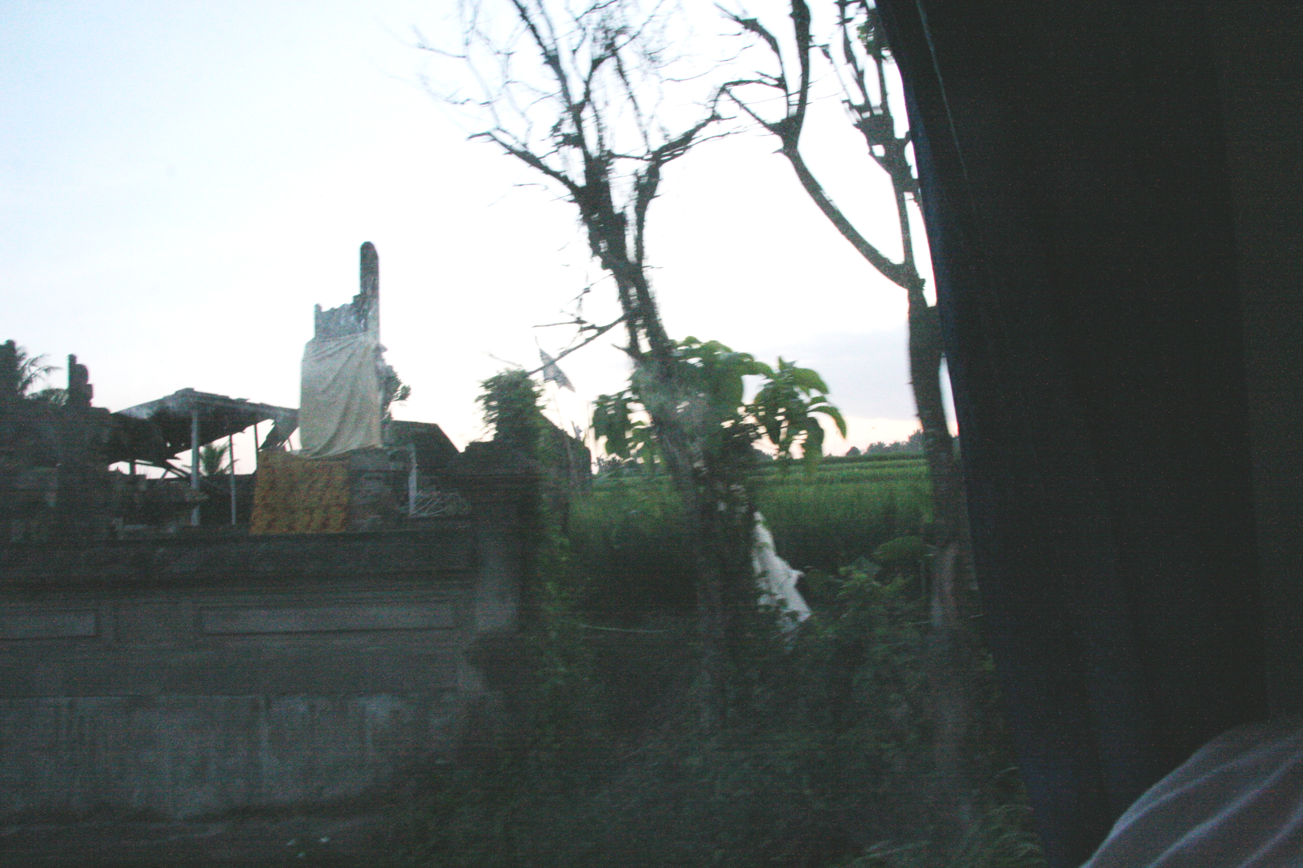 2012-07-02-00831.JPG