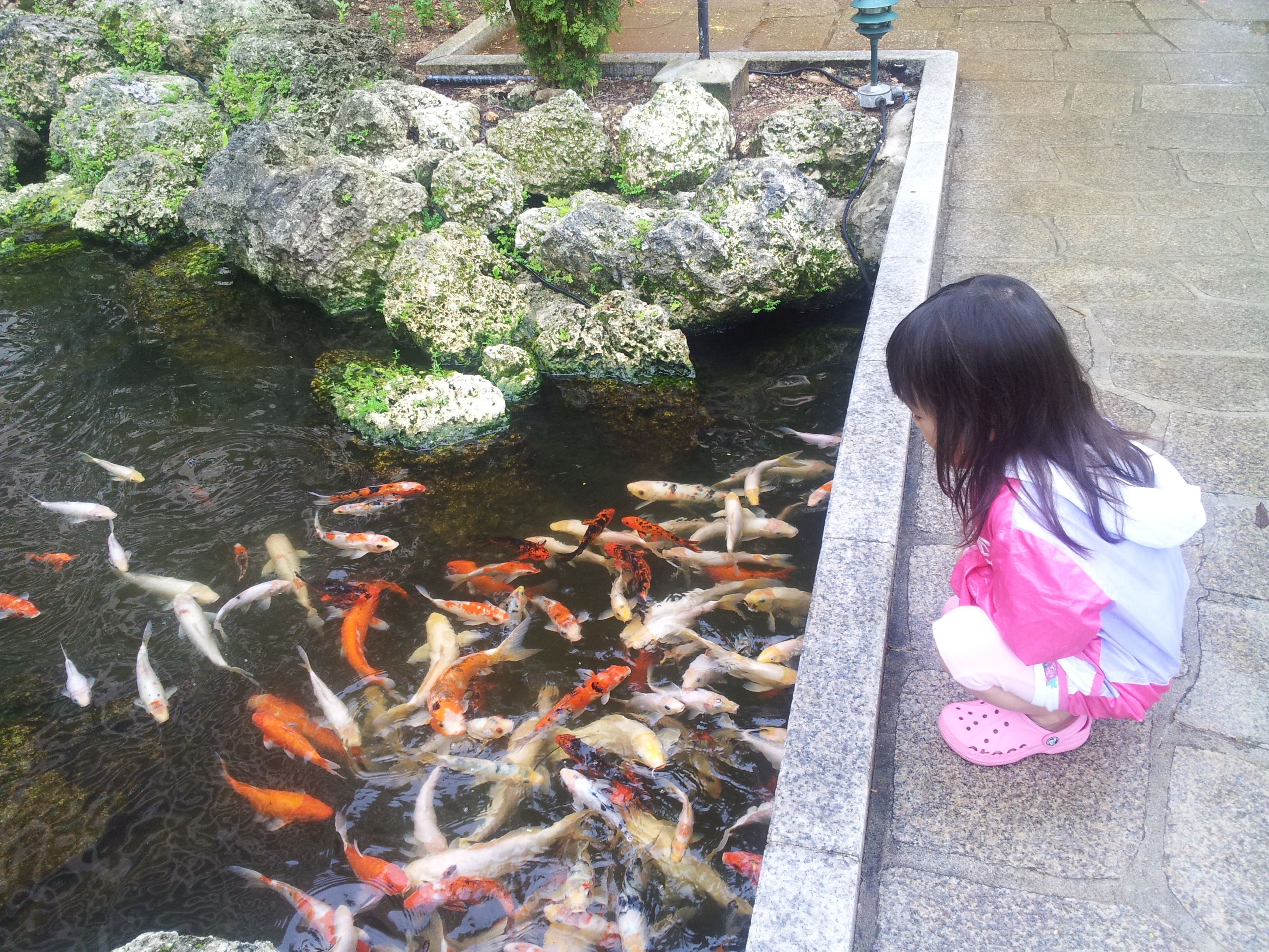 2012-09-04 10.21.57.jpg