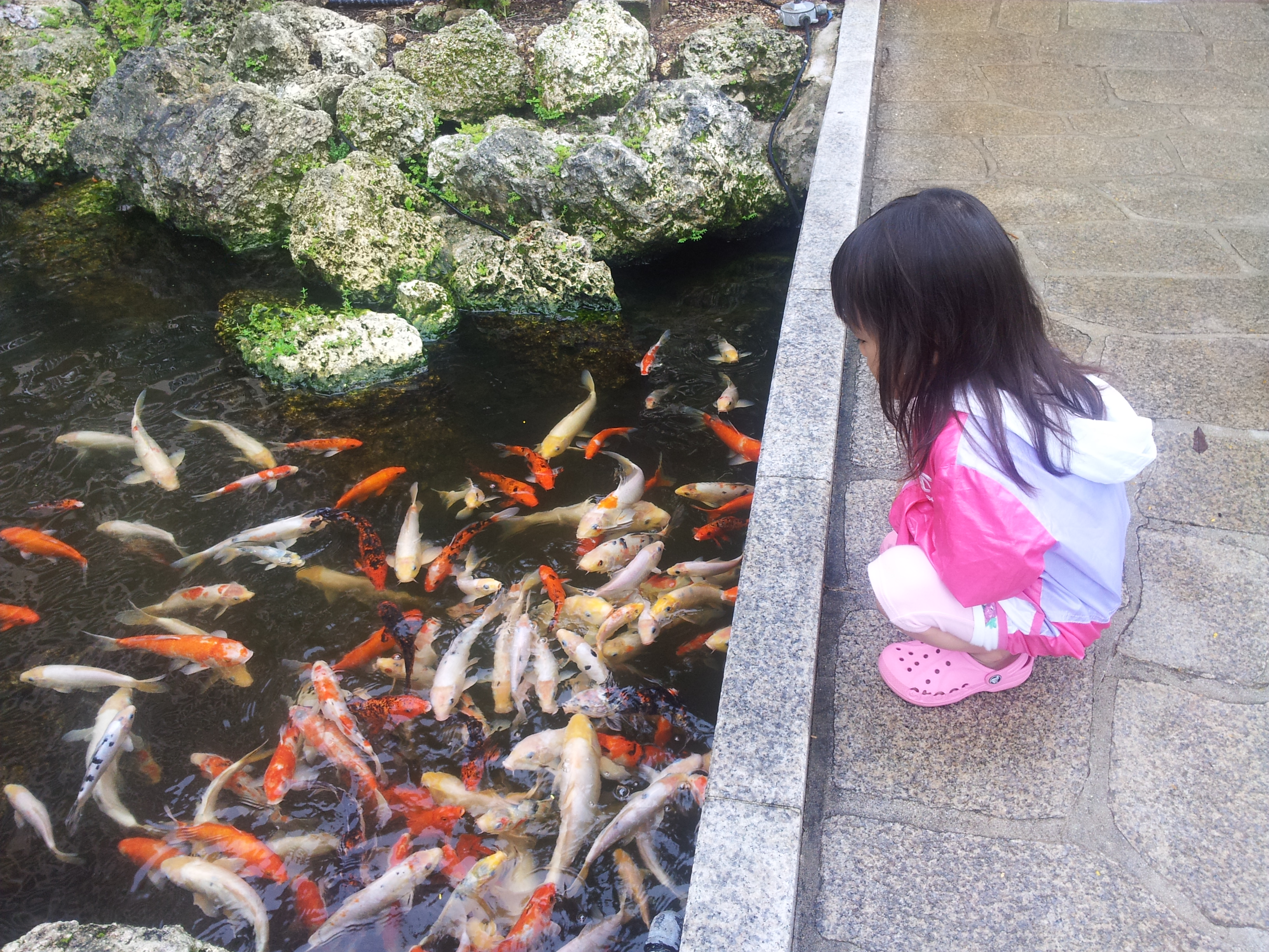 2012-09-04 10.22.03.jpg
