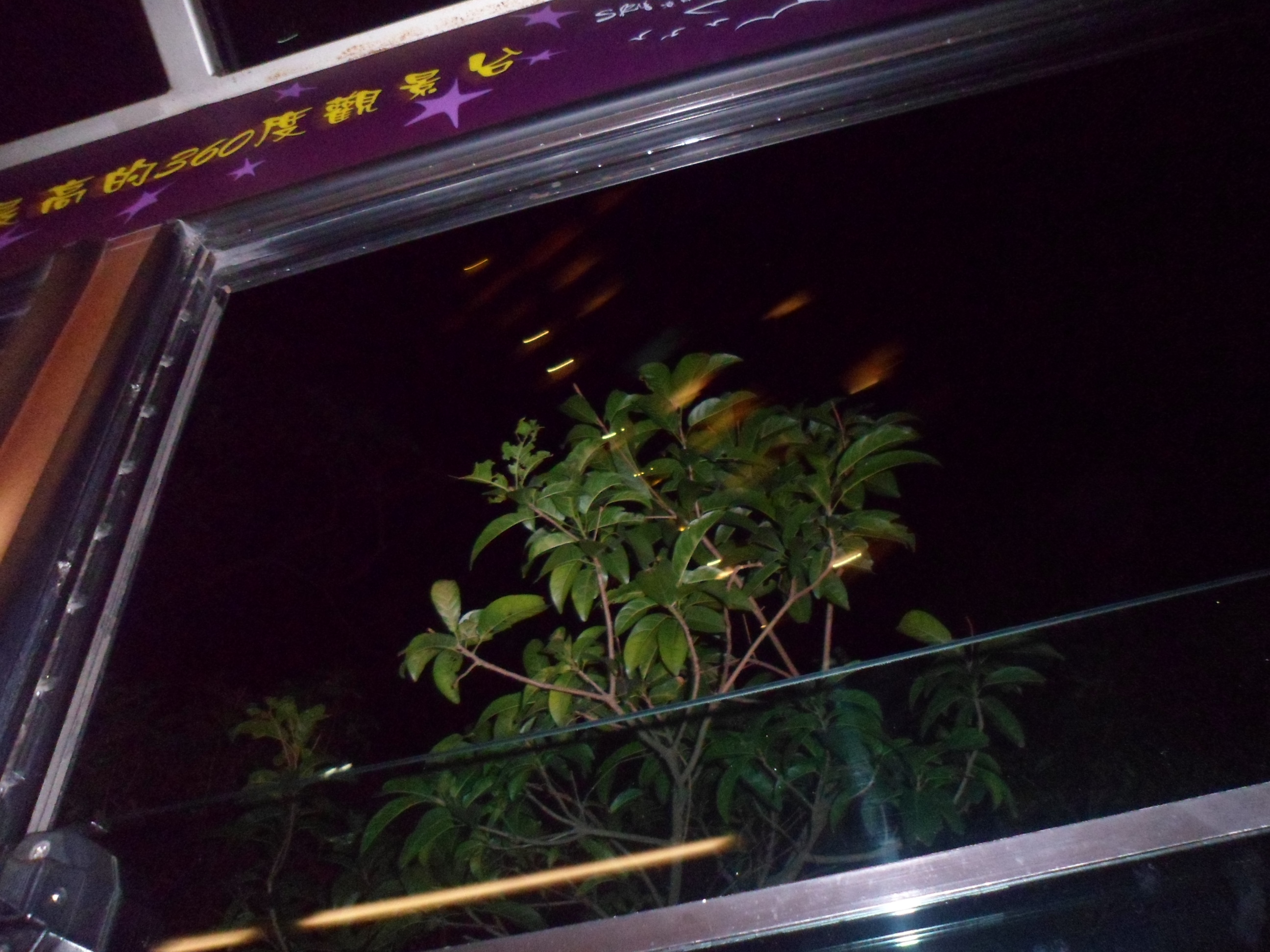 2012-12-09_21-34-44-홍콩-0165.JPG
