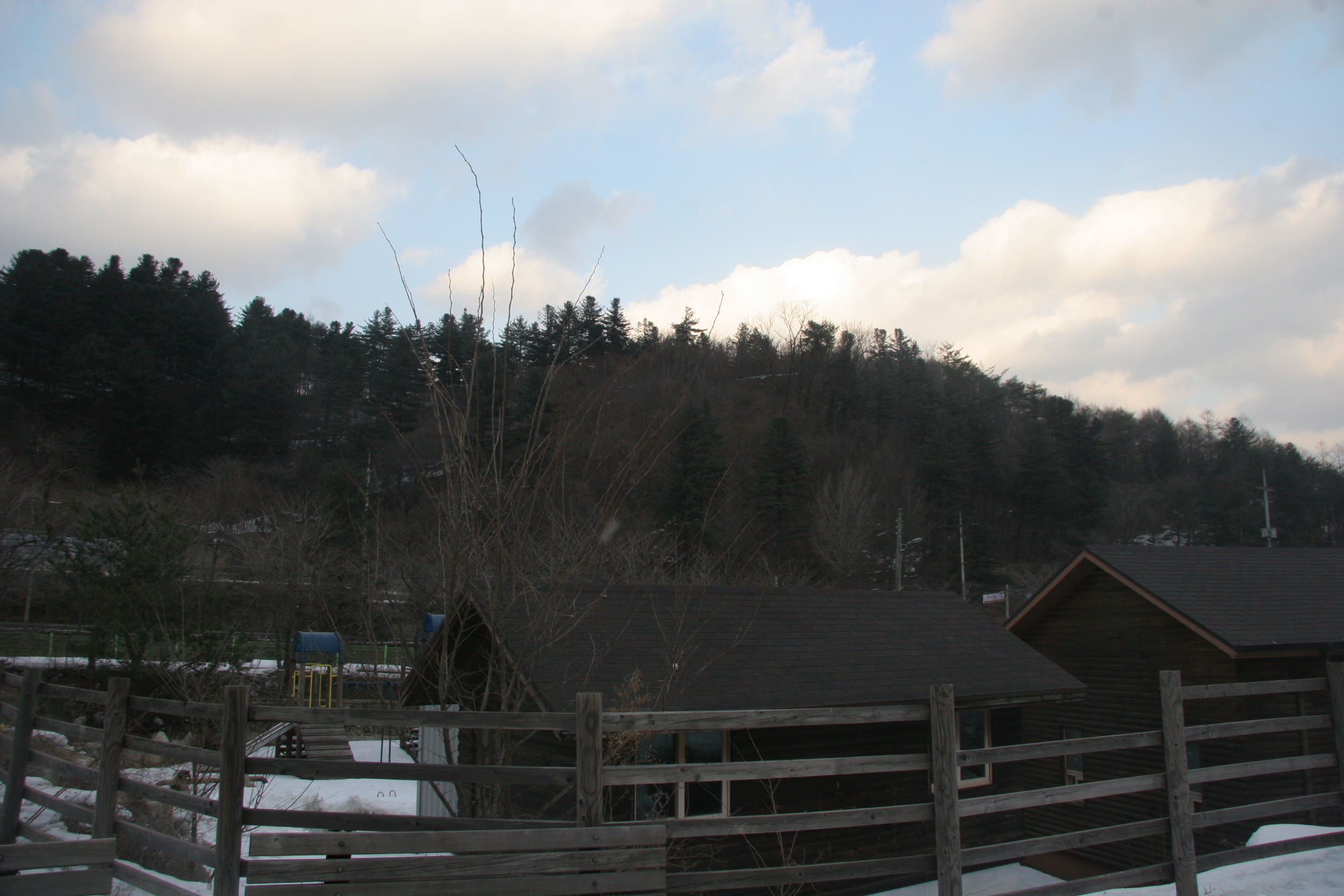 2013-02-23_17-33-00-00071.JPG