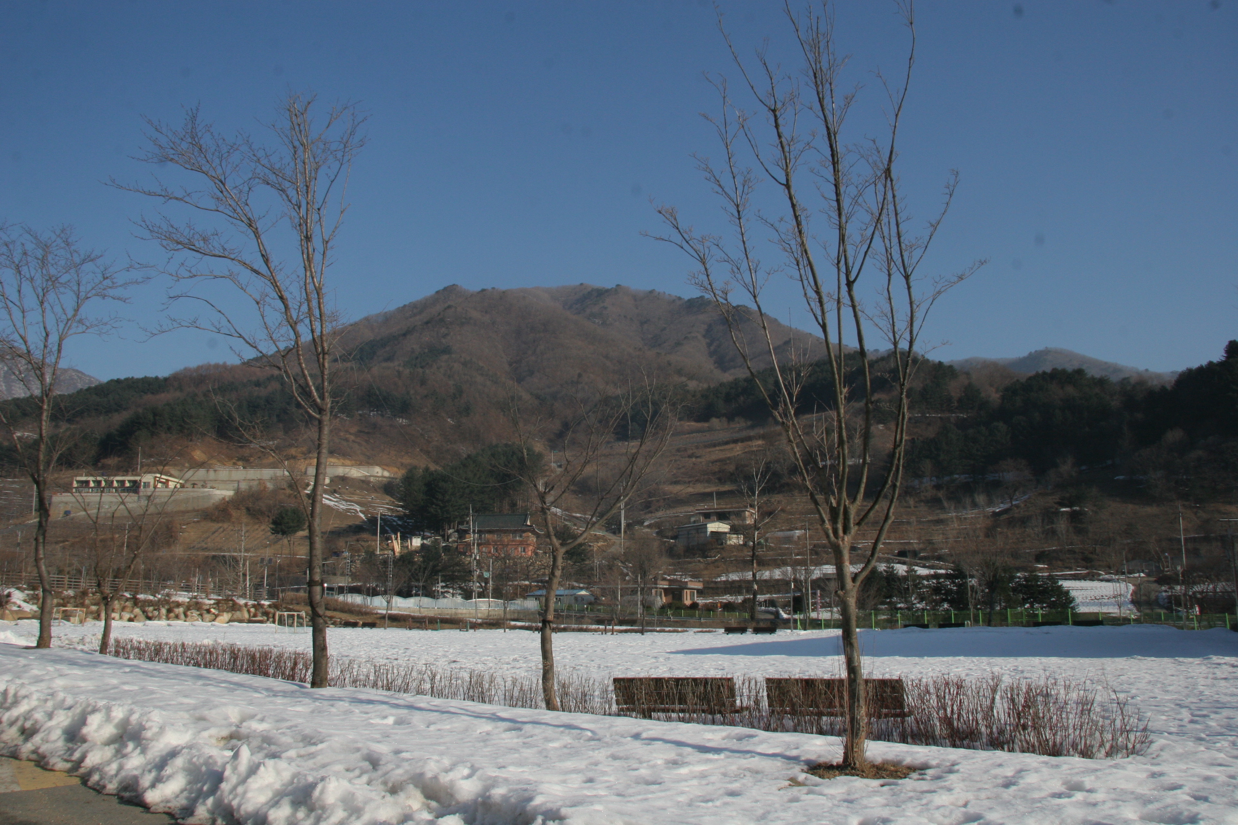 2013-02-24_09-15-16-00014.JPG