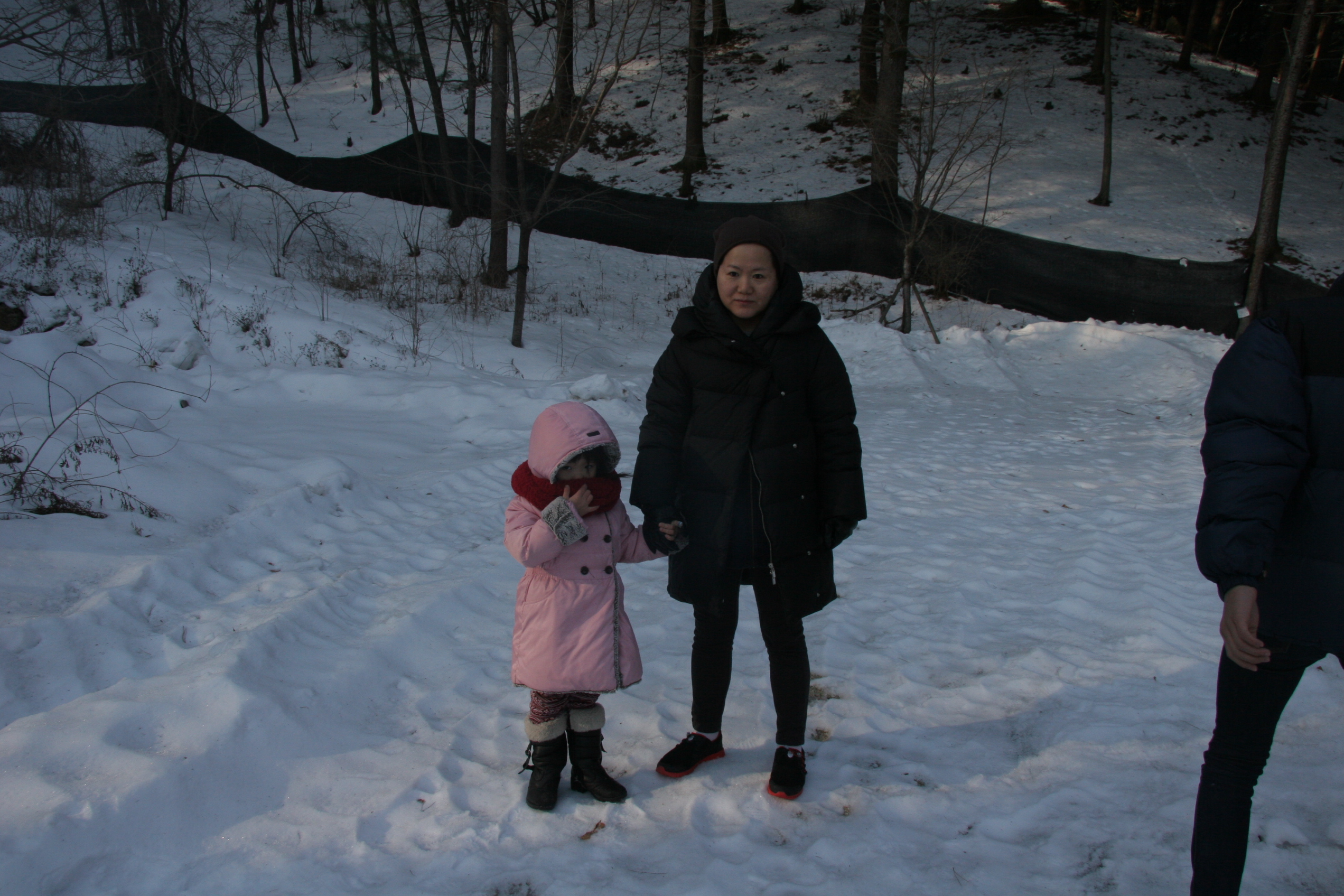 2013-02-24_09-24-57-00027.JPG
