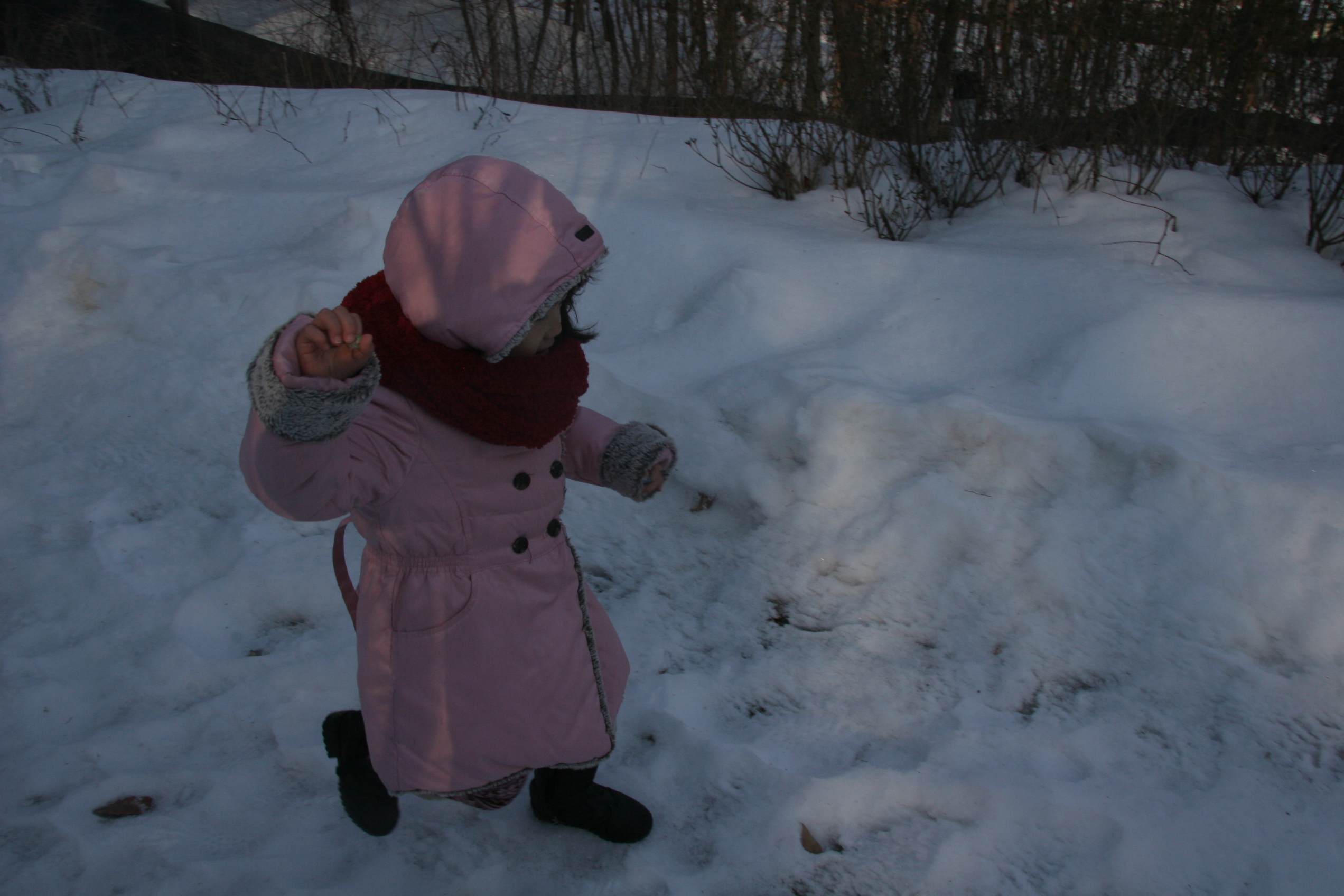 2013-02-24_09-25-21-00032.JPG