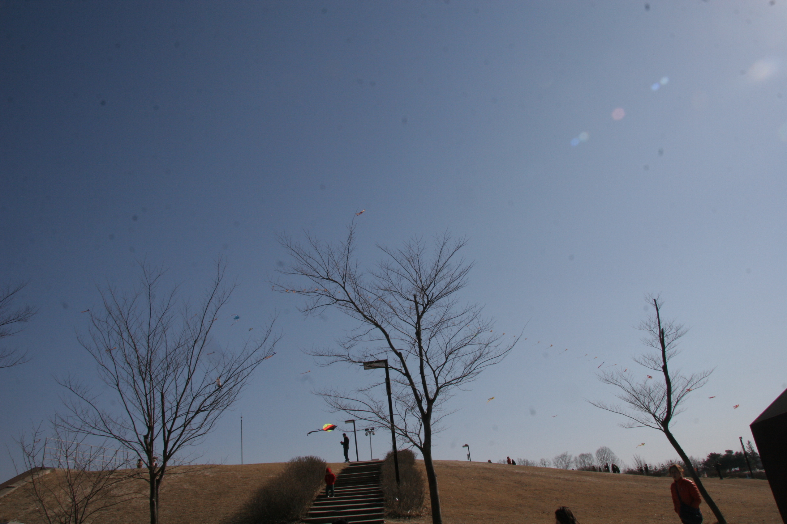 2013-03-10_15-25-35-00042.JPG
