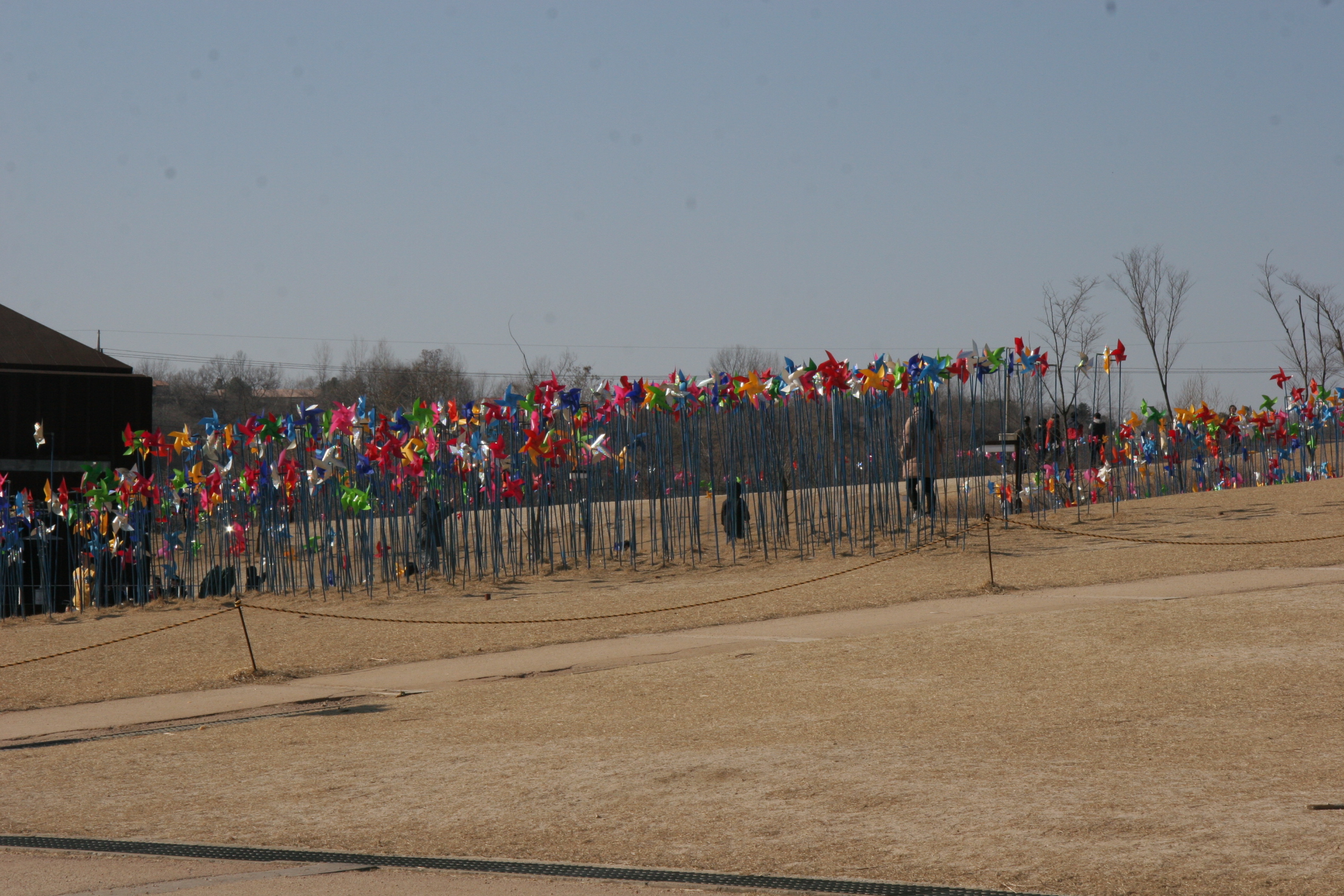 2013-03-10_15-46-43-00064.JPG