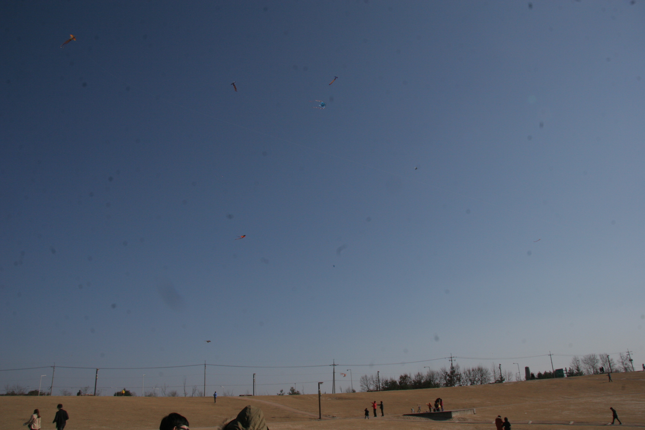 2013-03-10_15-54-17-00089.JPG