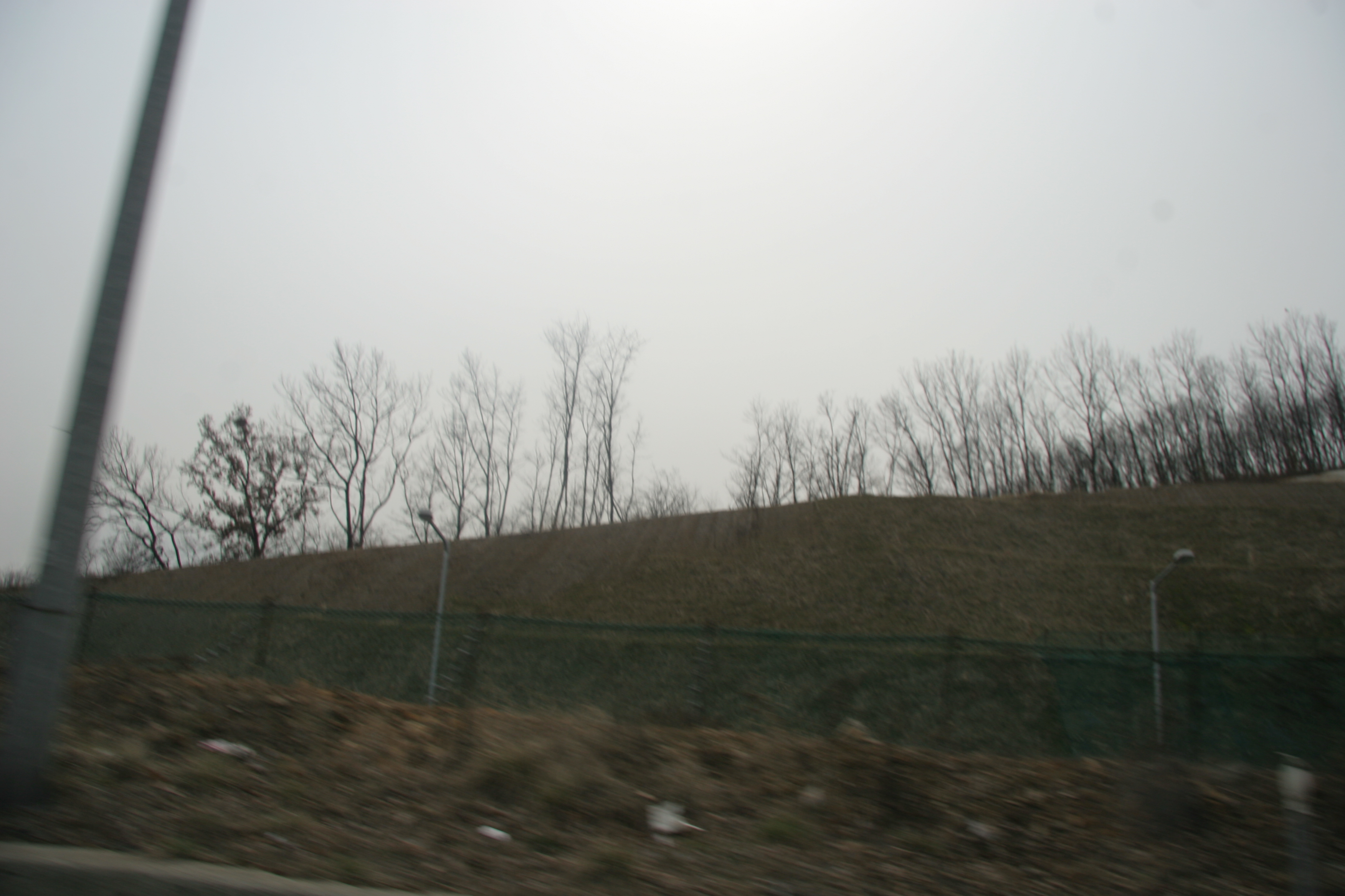 2013-03-30_14-00-02-00002.JPG