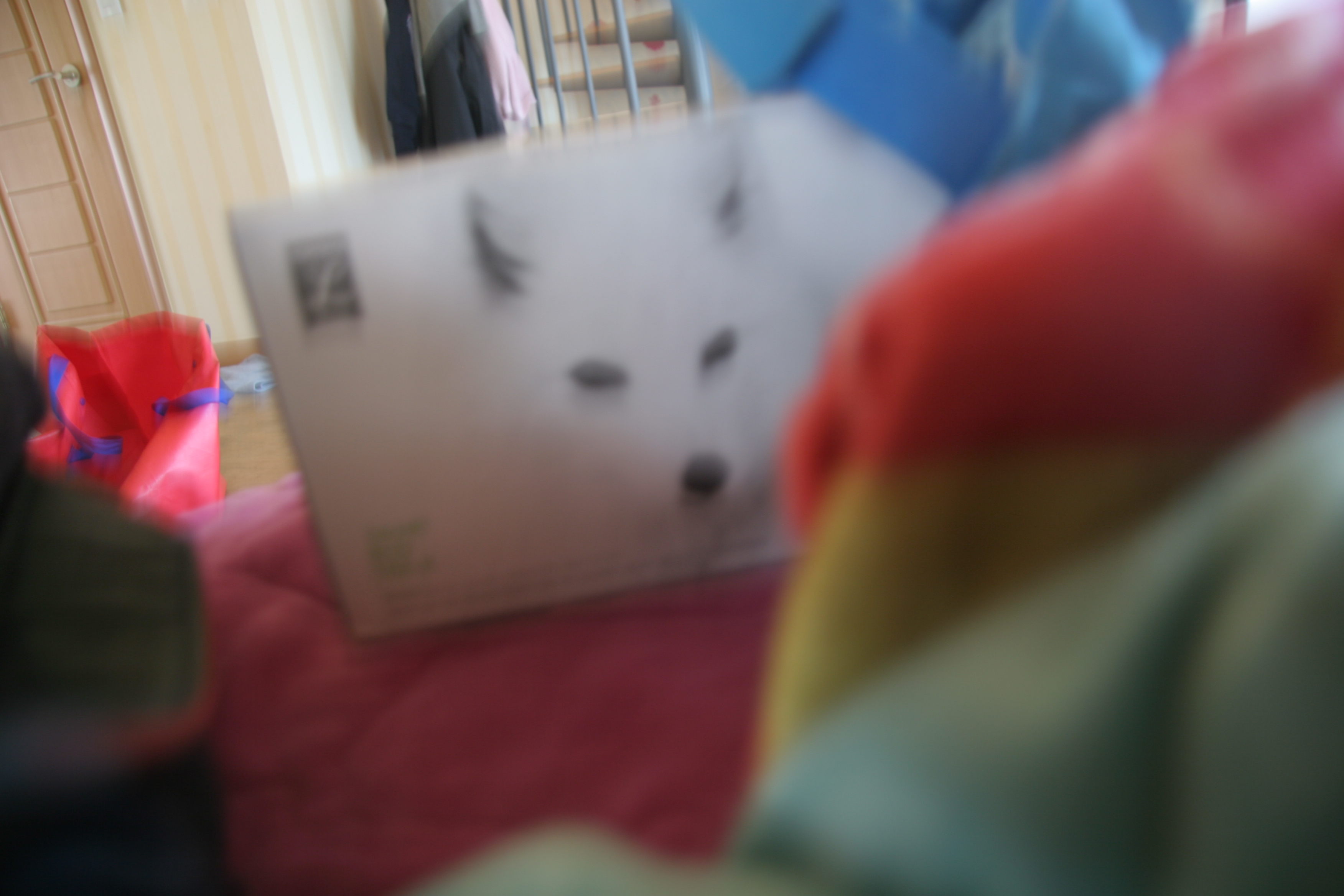 2013-03-31_10-52-21-00025.JPG