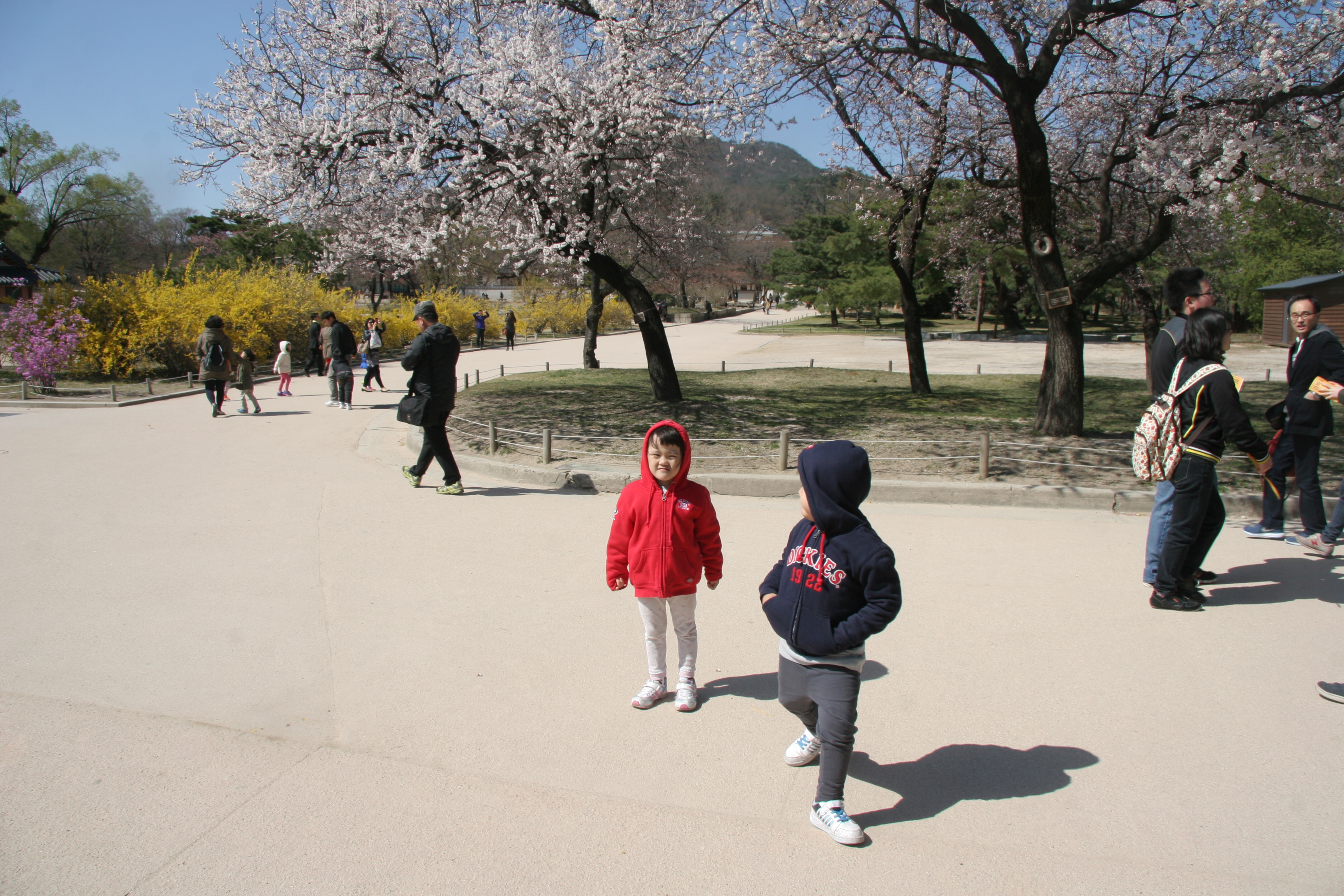 2013-04-14_15-09-34-00067.JPG