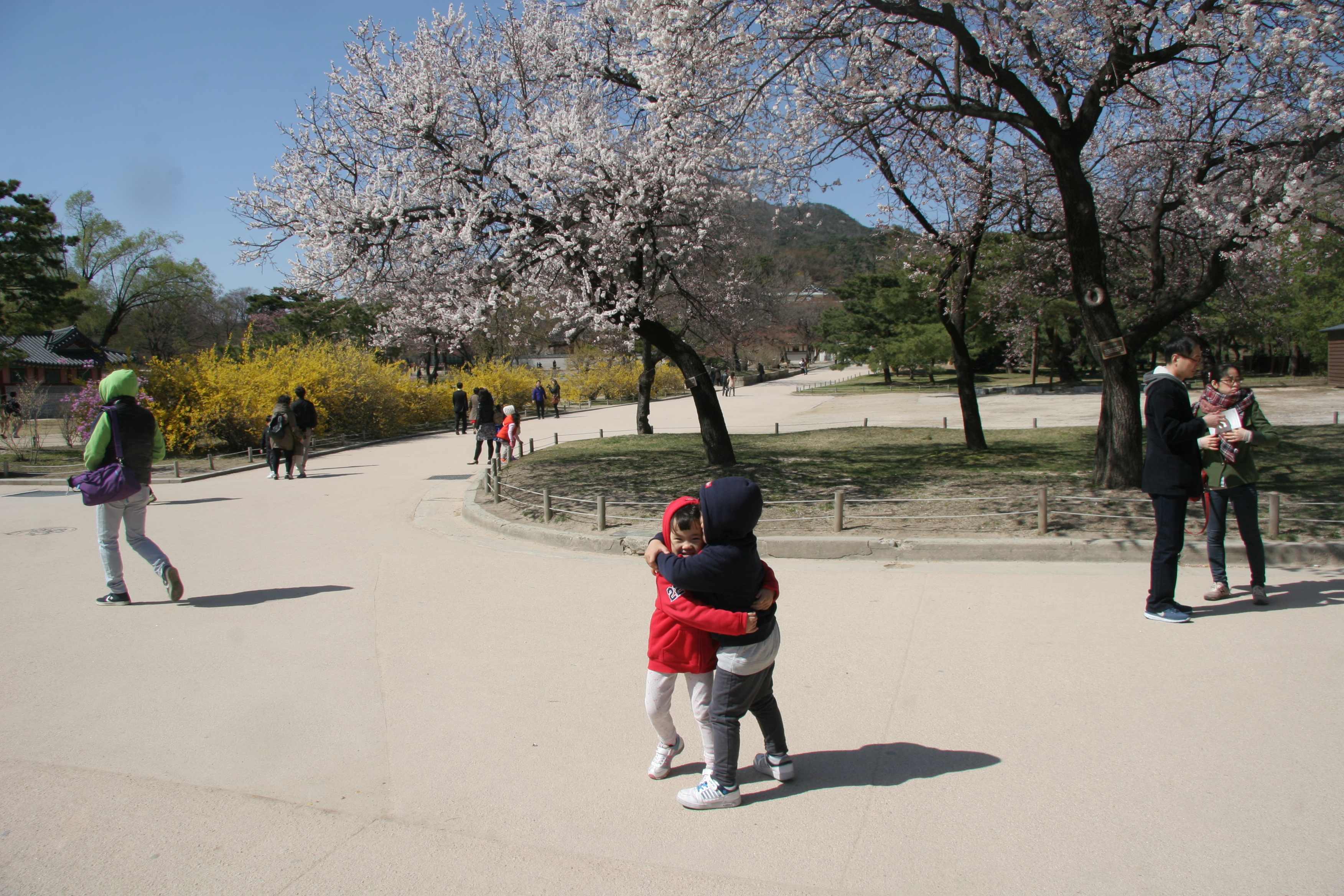2013-04-14_15-09-40-00068.JPG