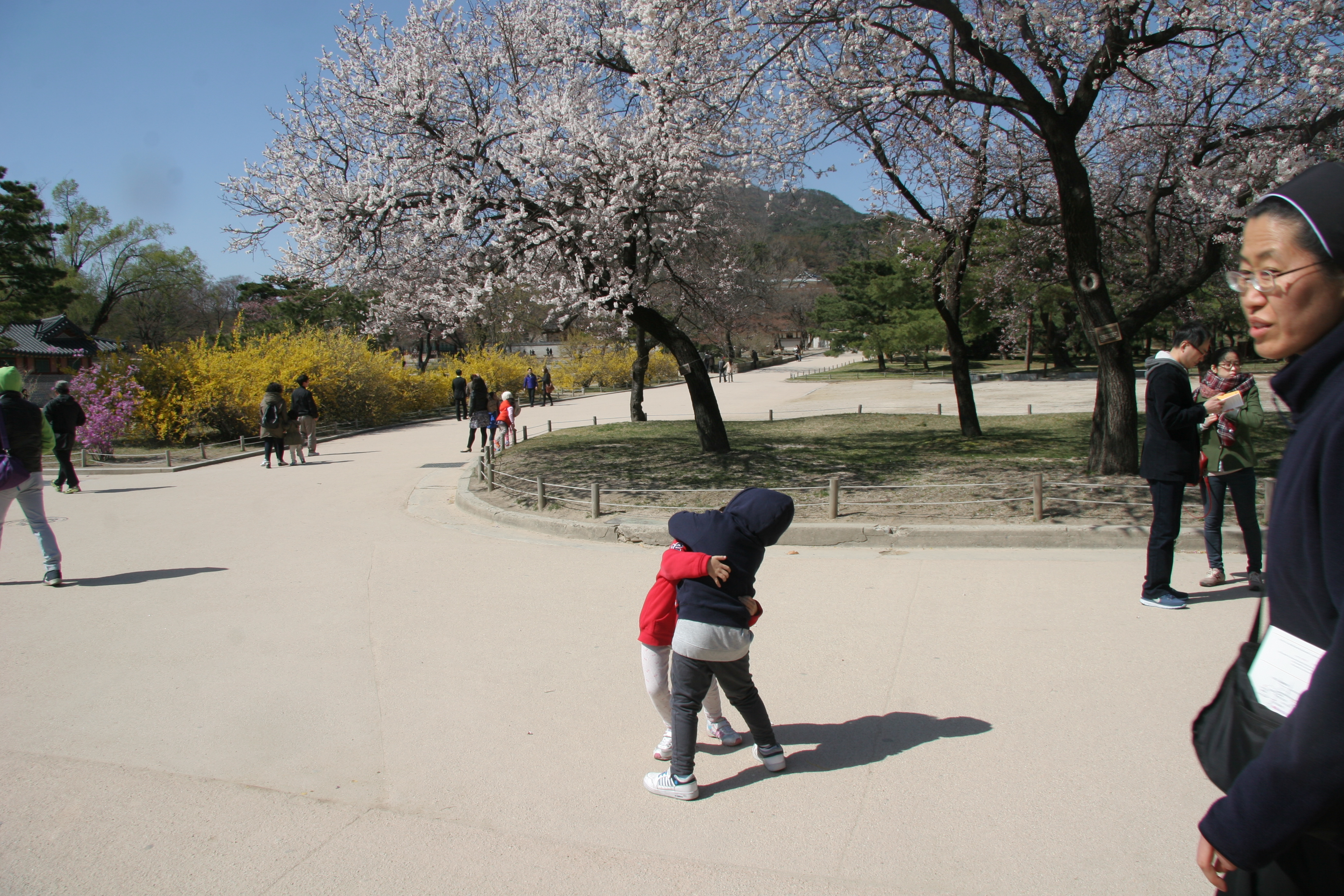 2013-04-14_15-09-41-00069.JPG