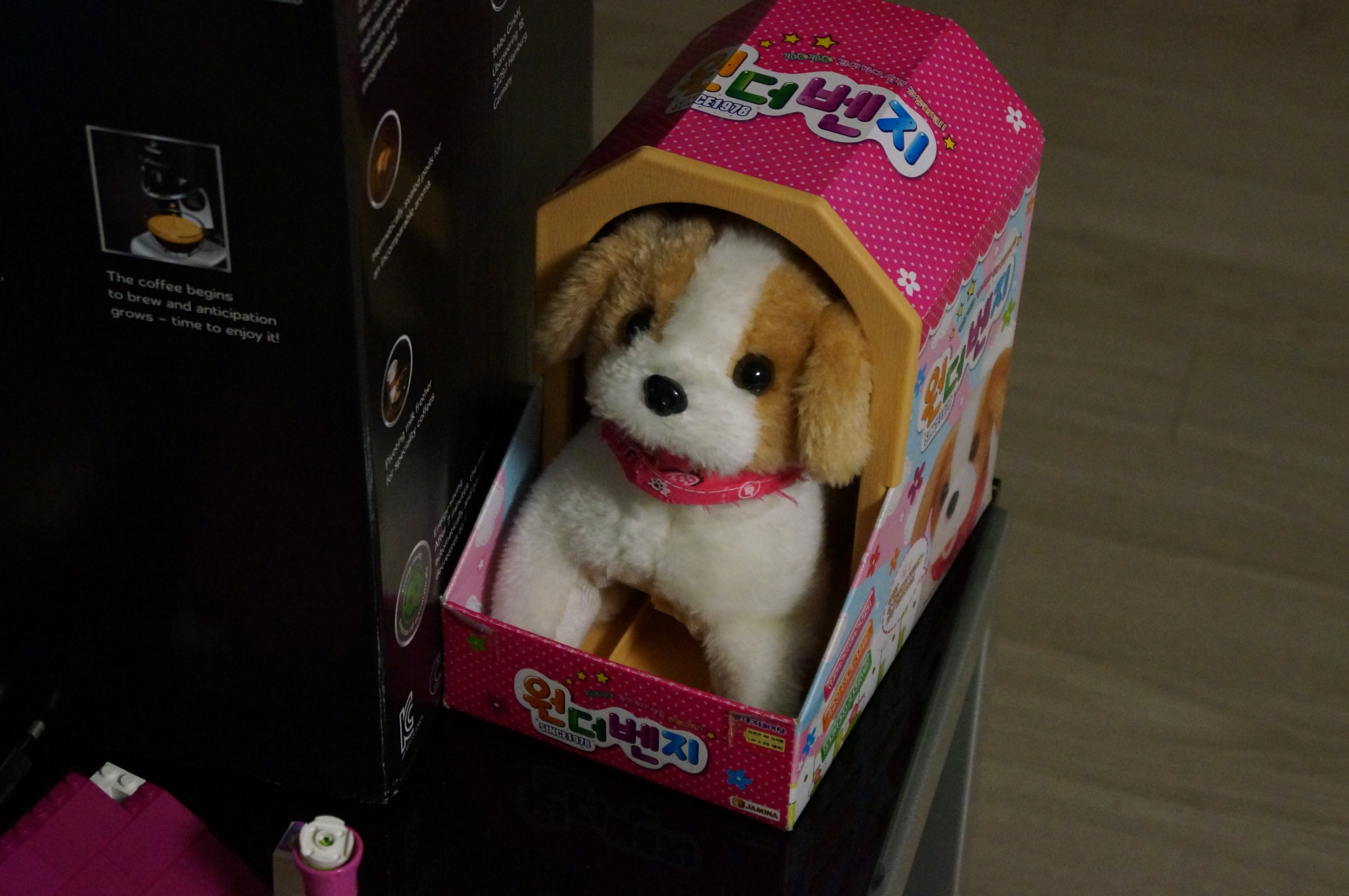 DSC00021 (1).JPG