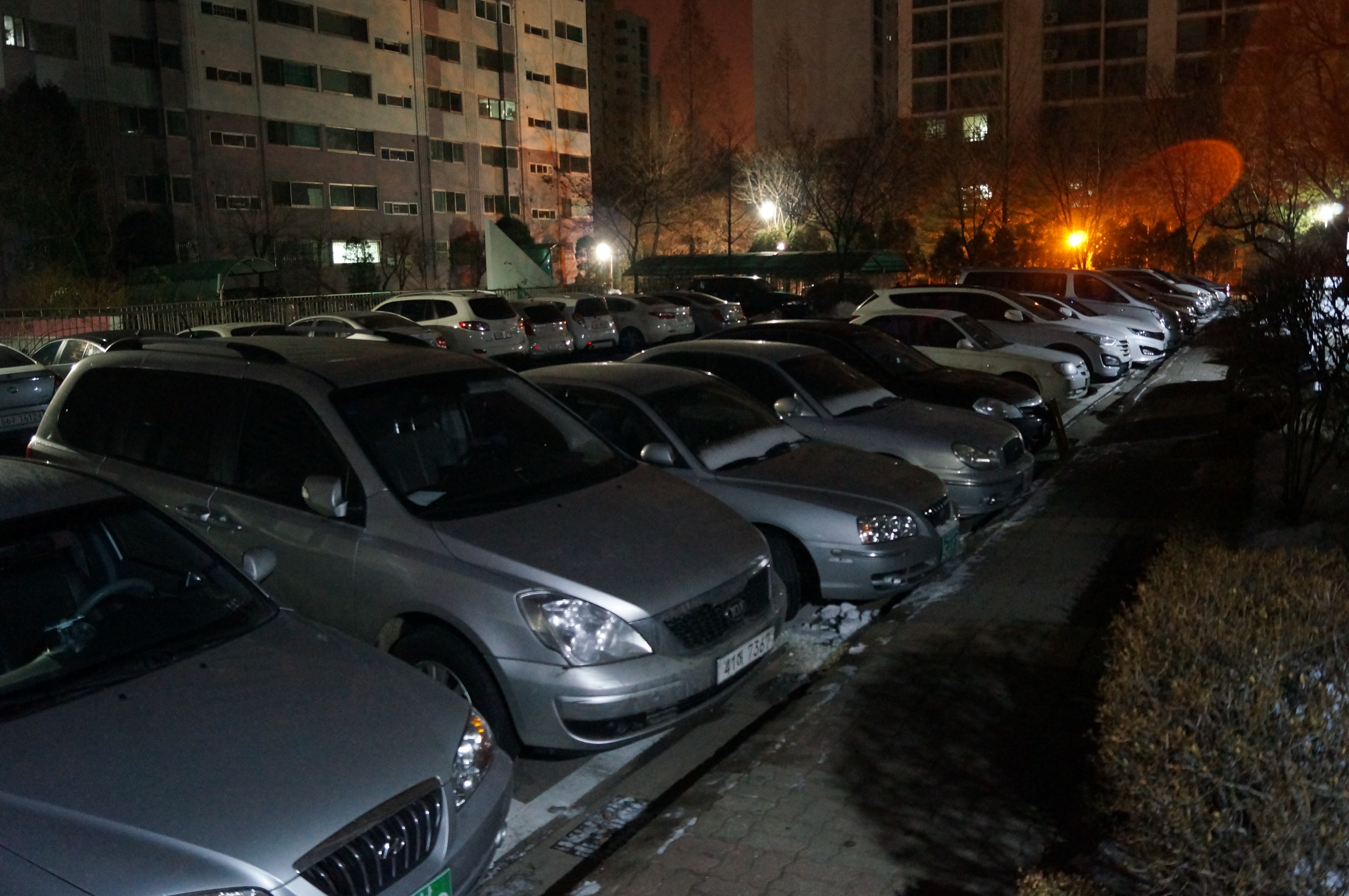 DSC00022 (1).JPG
