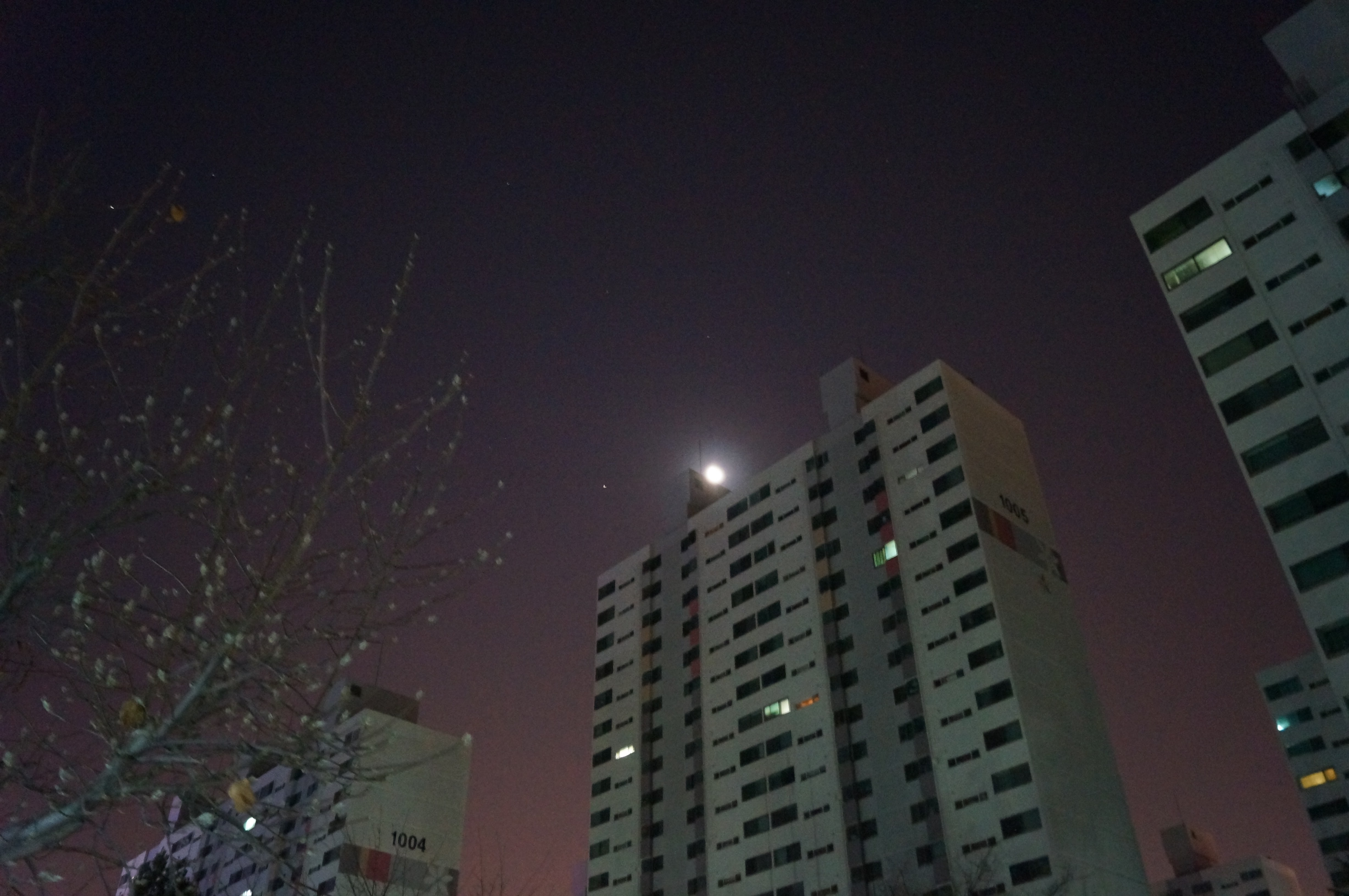 DSC00023 (1).JPG