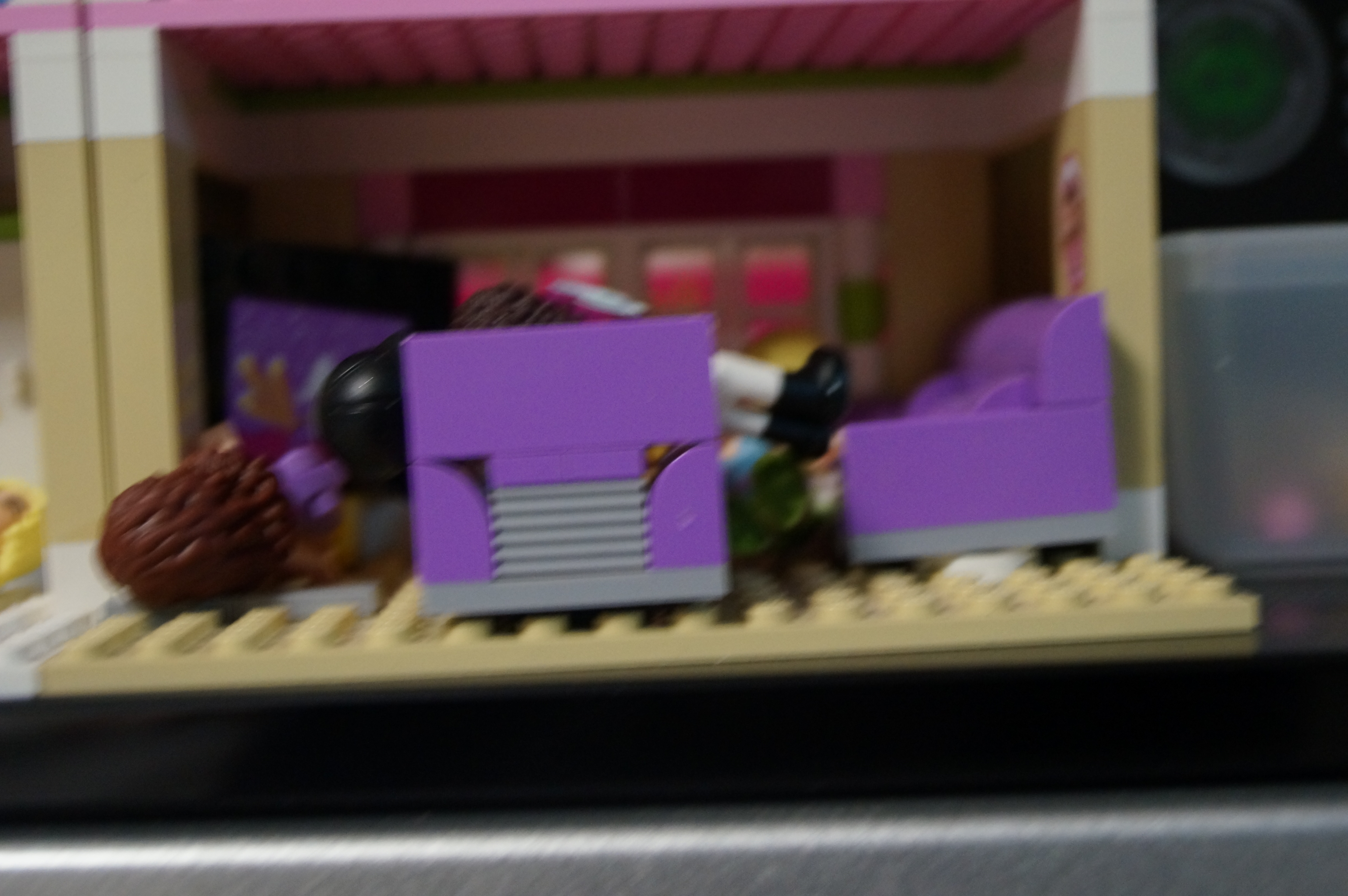 DSC00490.JPG