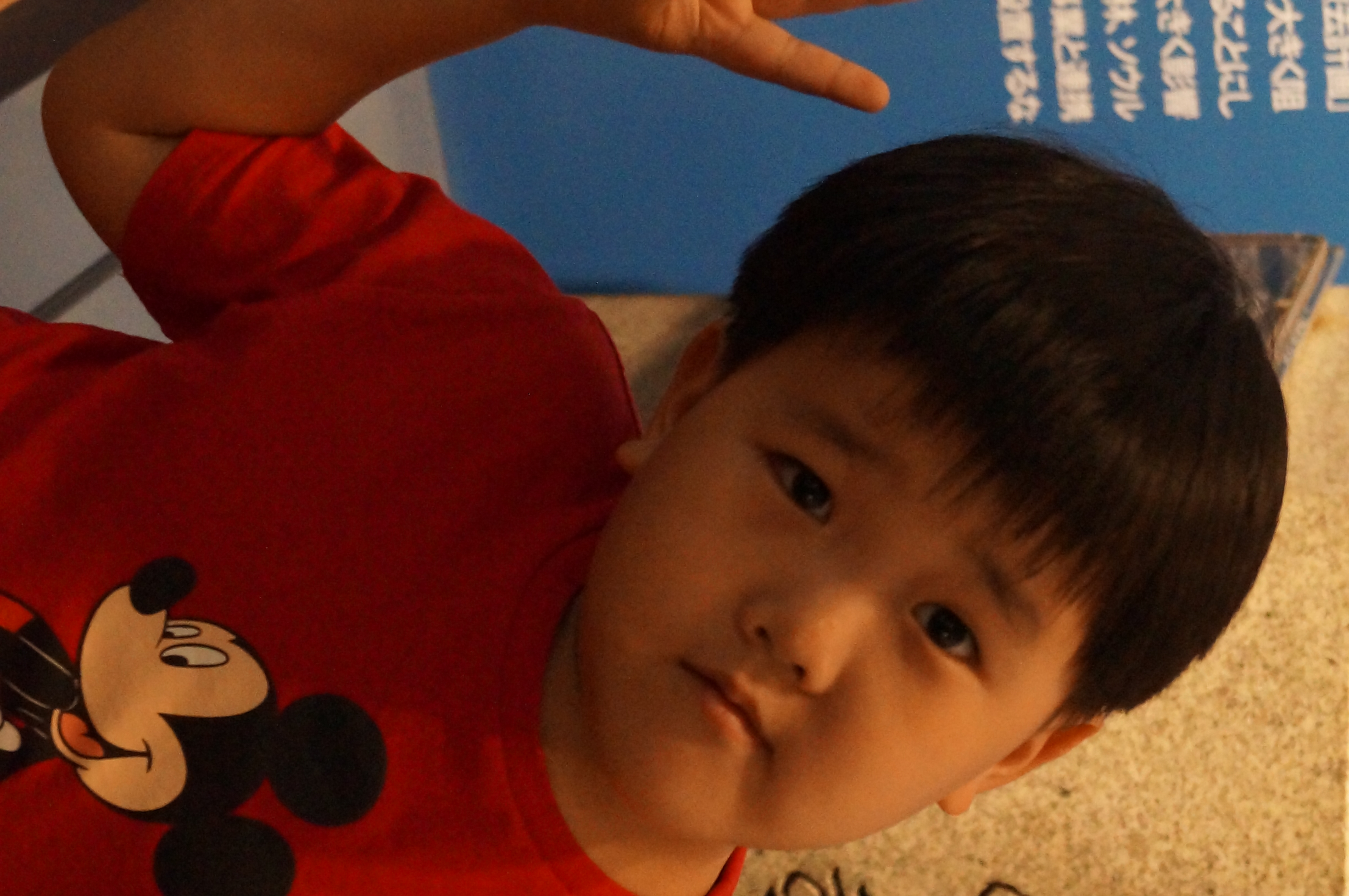 DSC00714.JPG