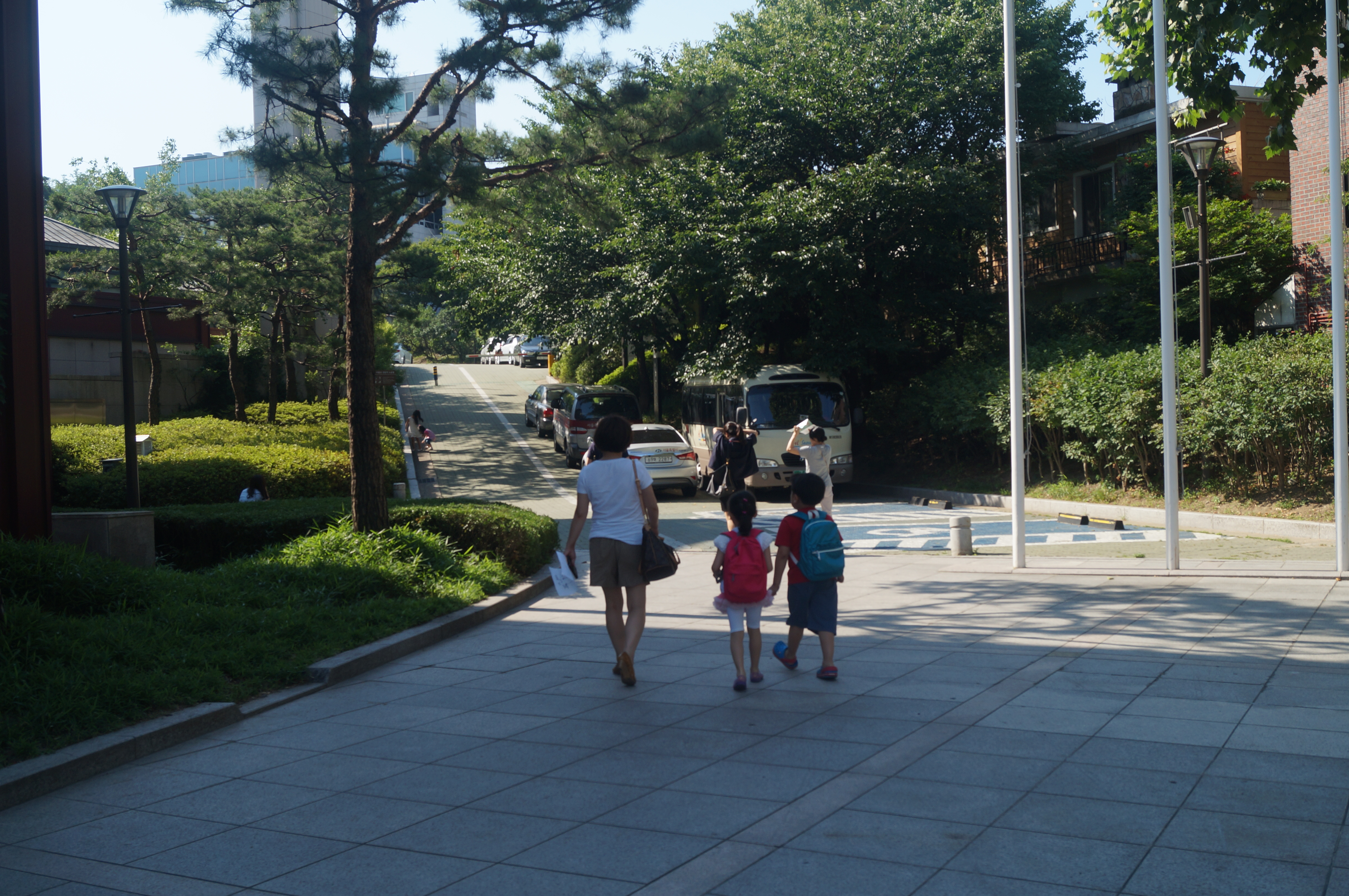 DSC00802.JPG