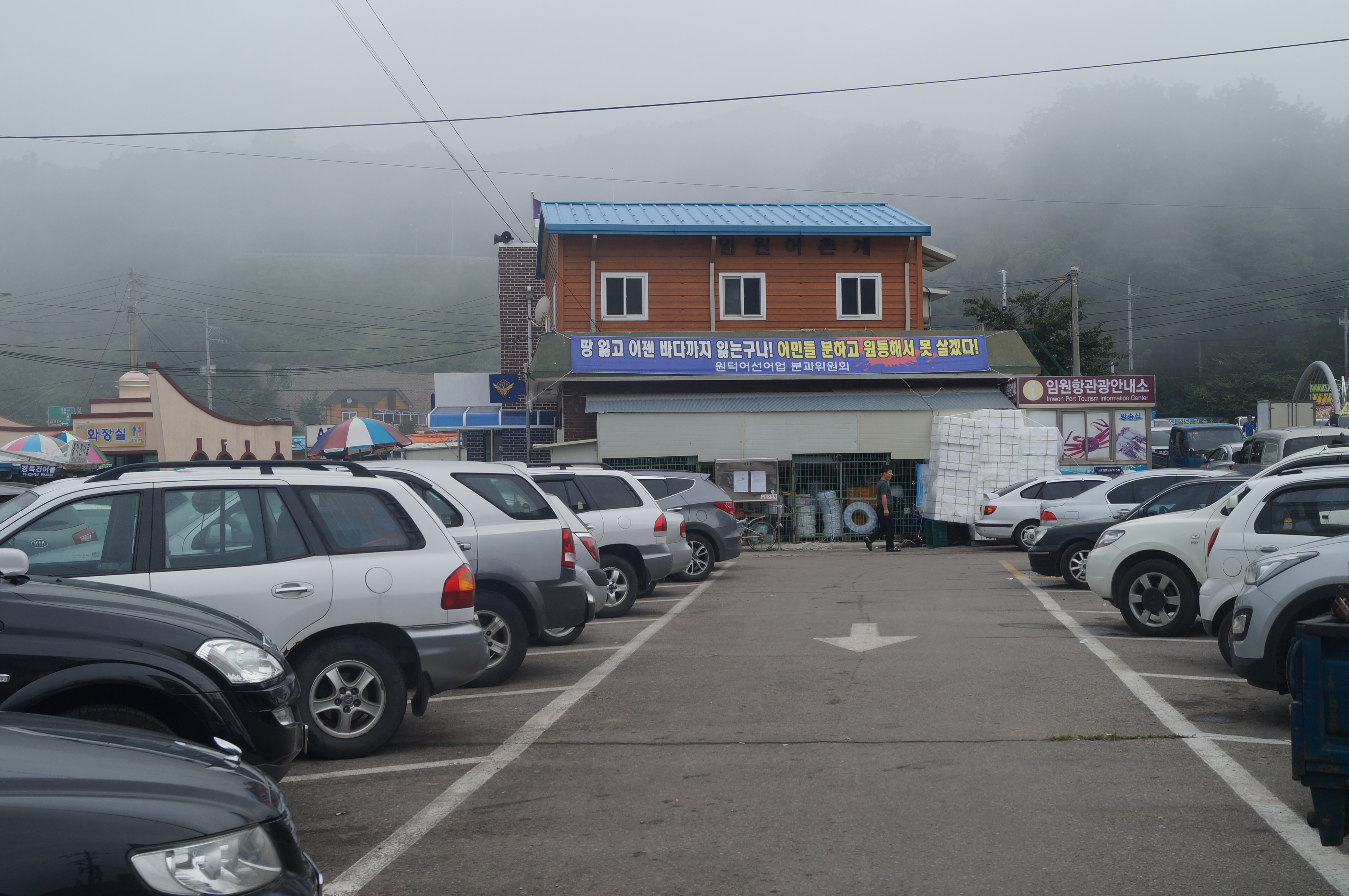 DSC00813.JPG