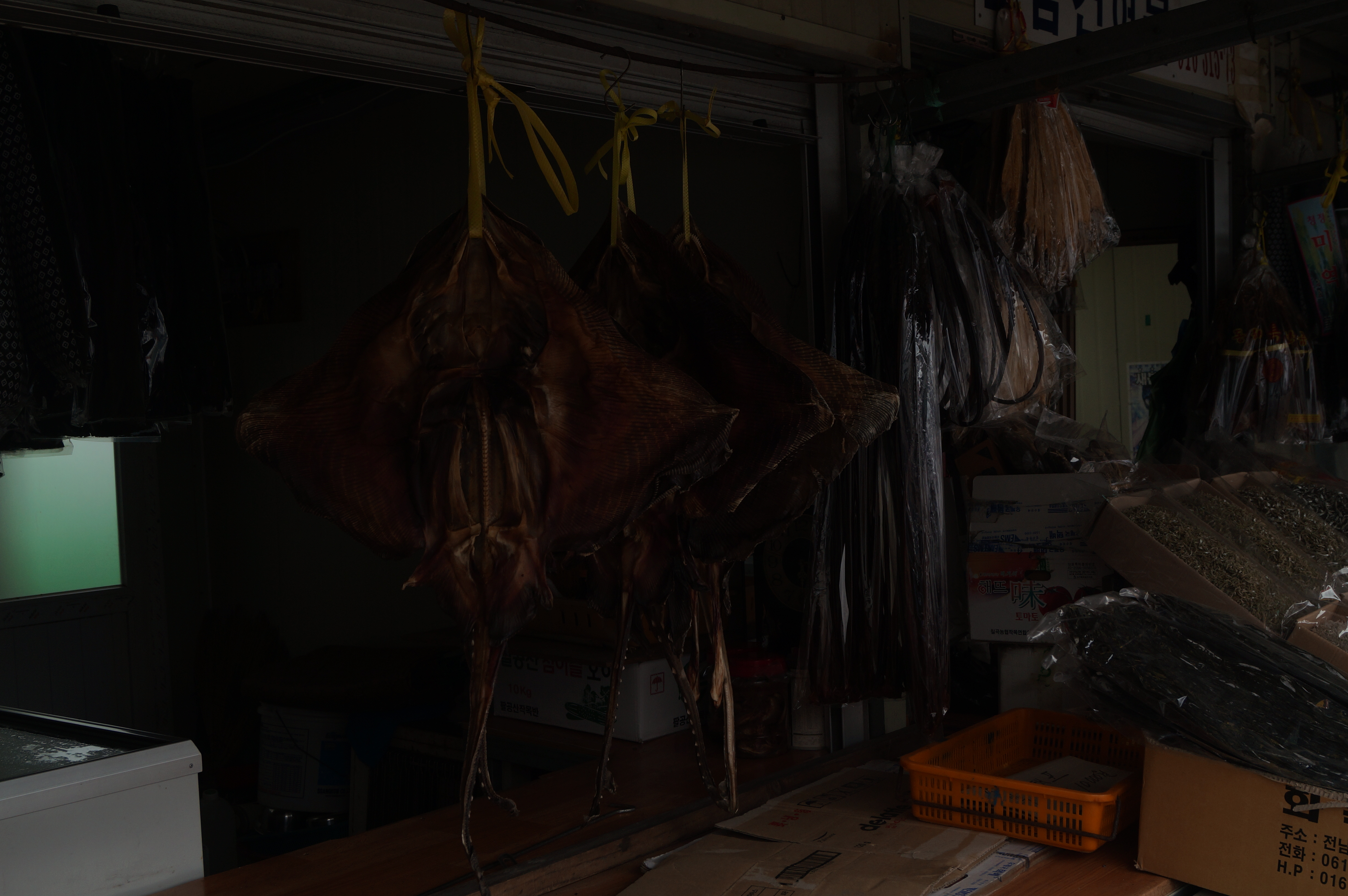 DSC00814.JPG