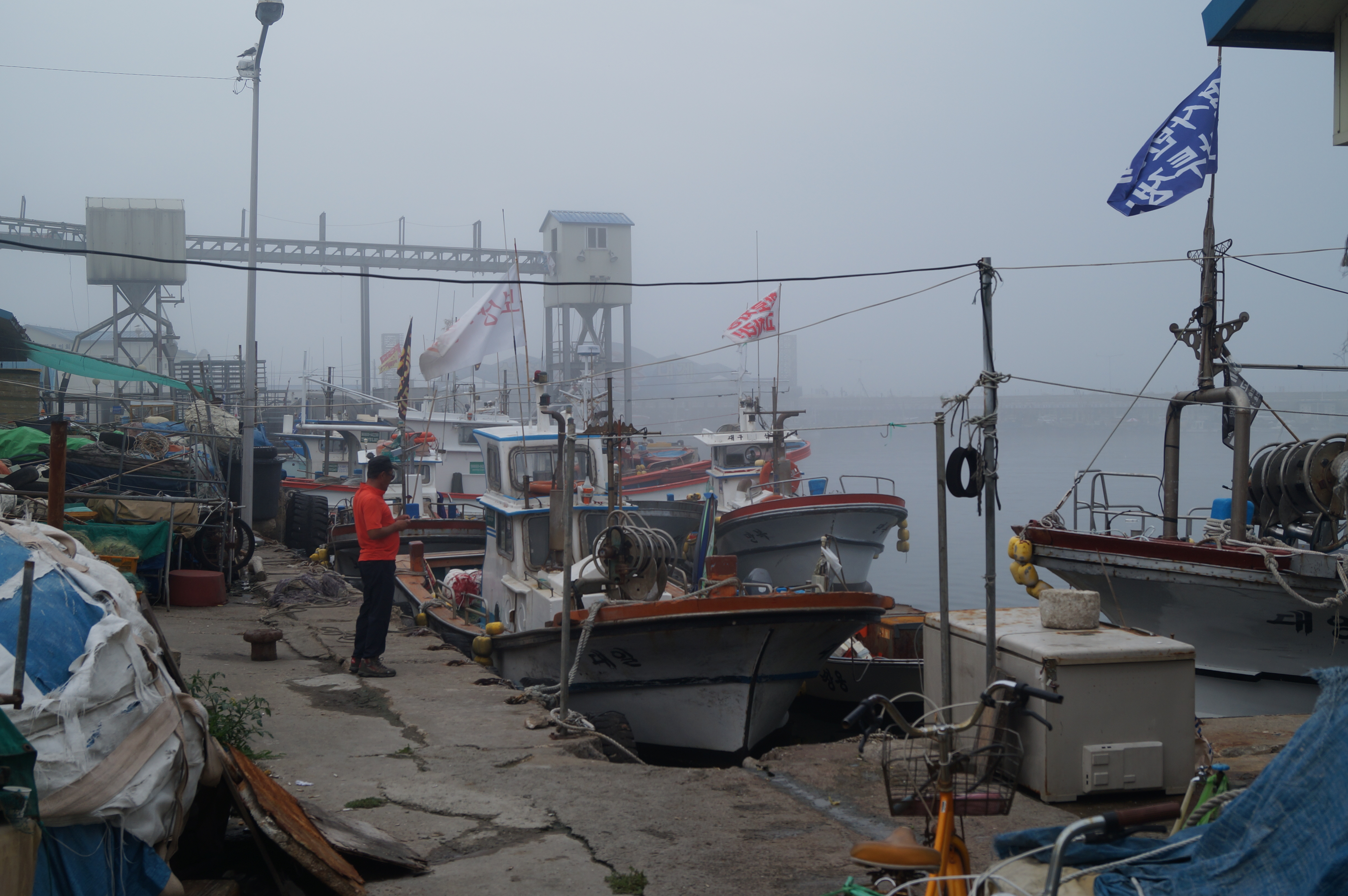 DSC00816.JPG