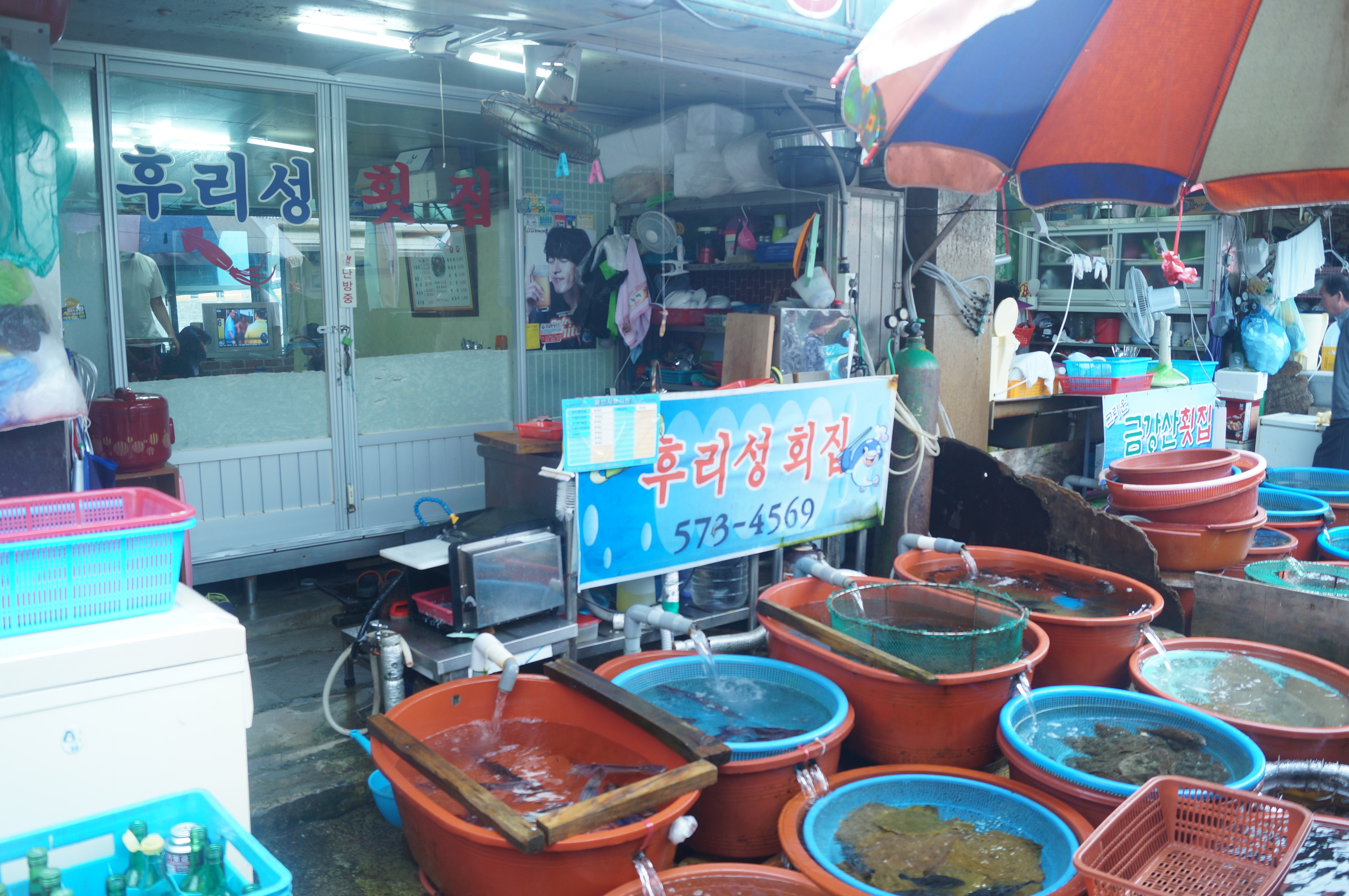 DSC00825.JPG