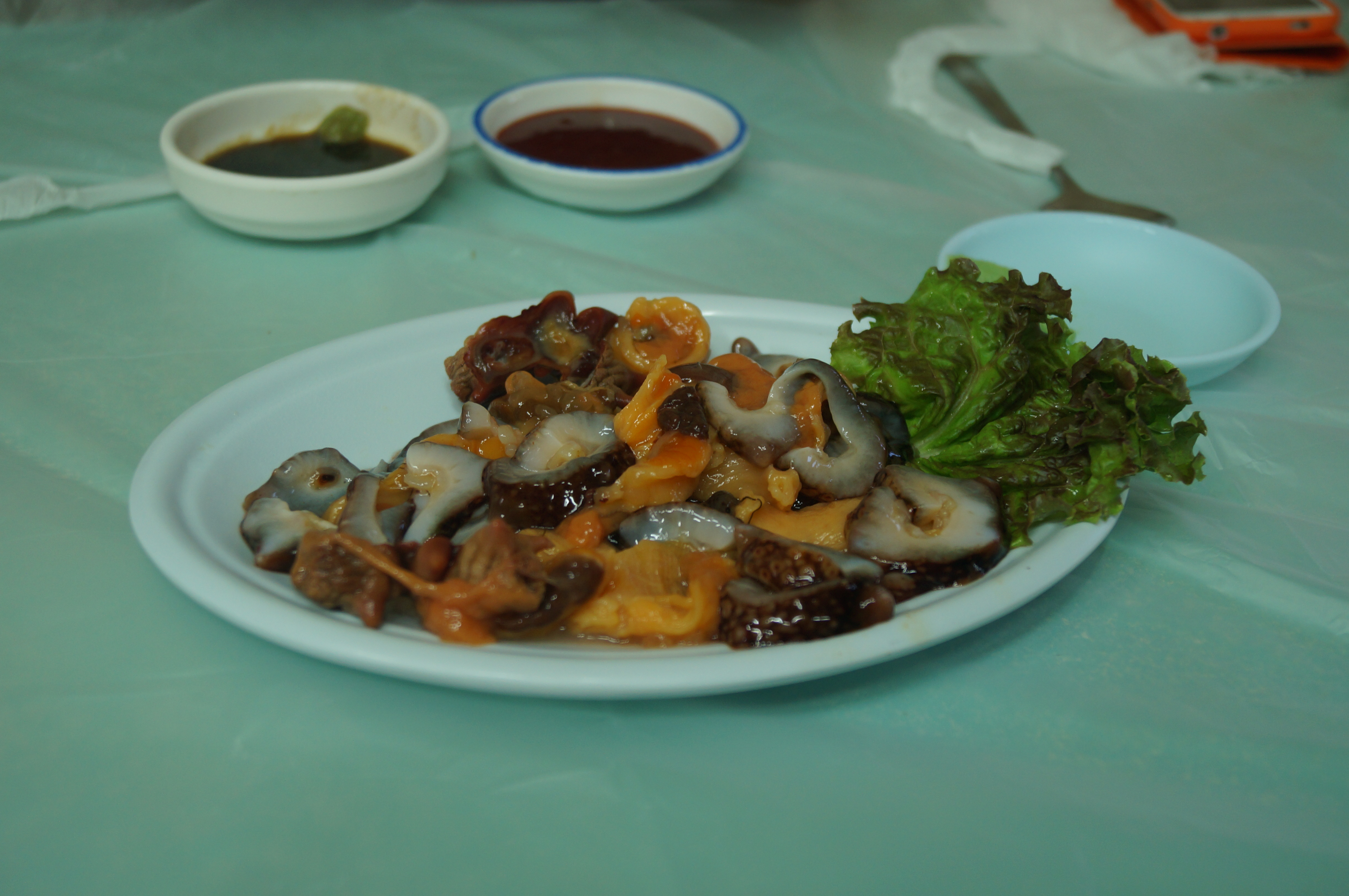 DSC00872.JPG