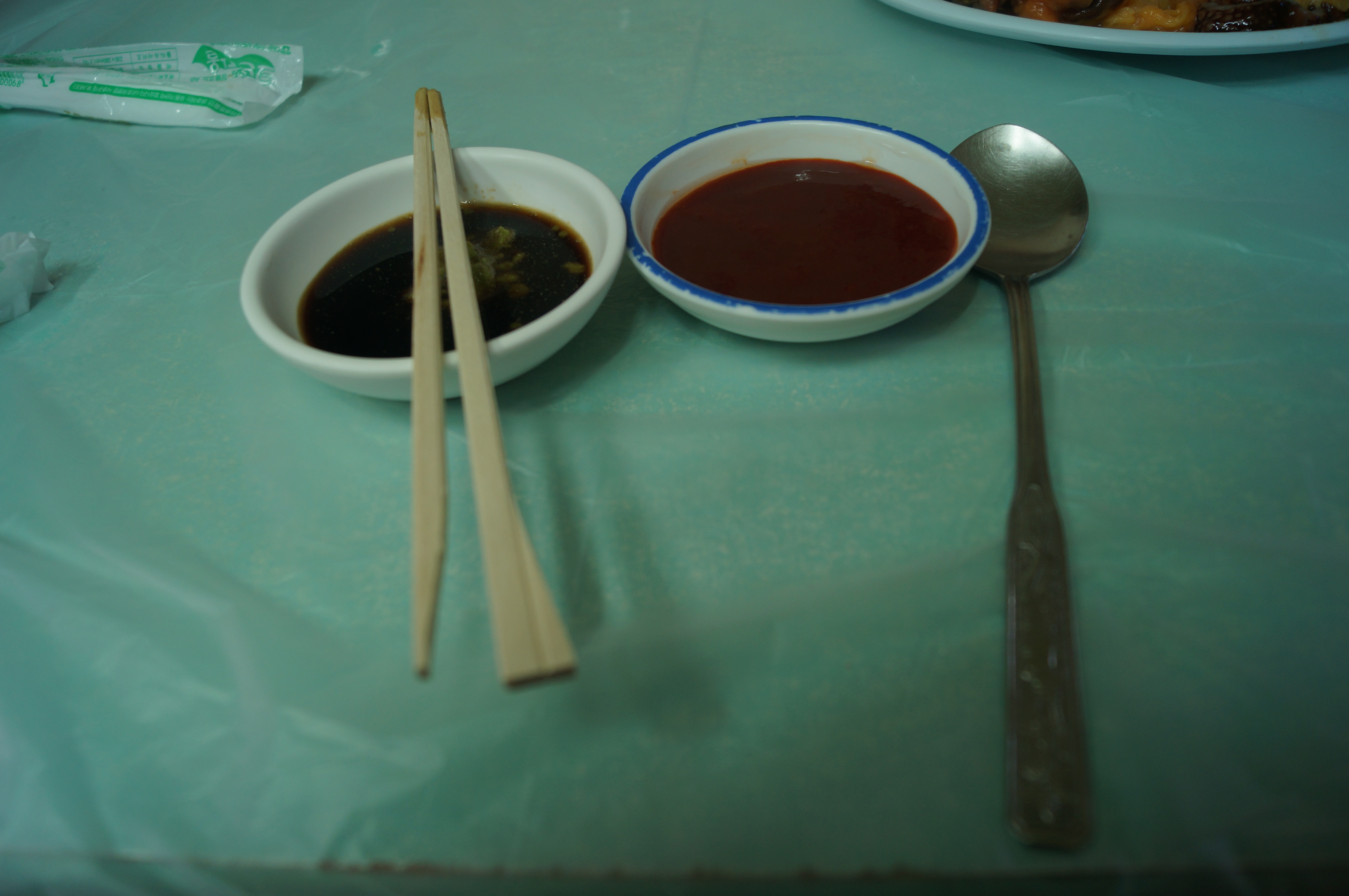 DSC00873.JPG