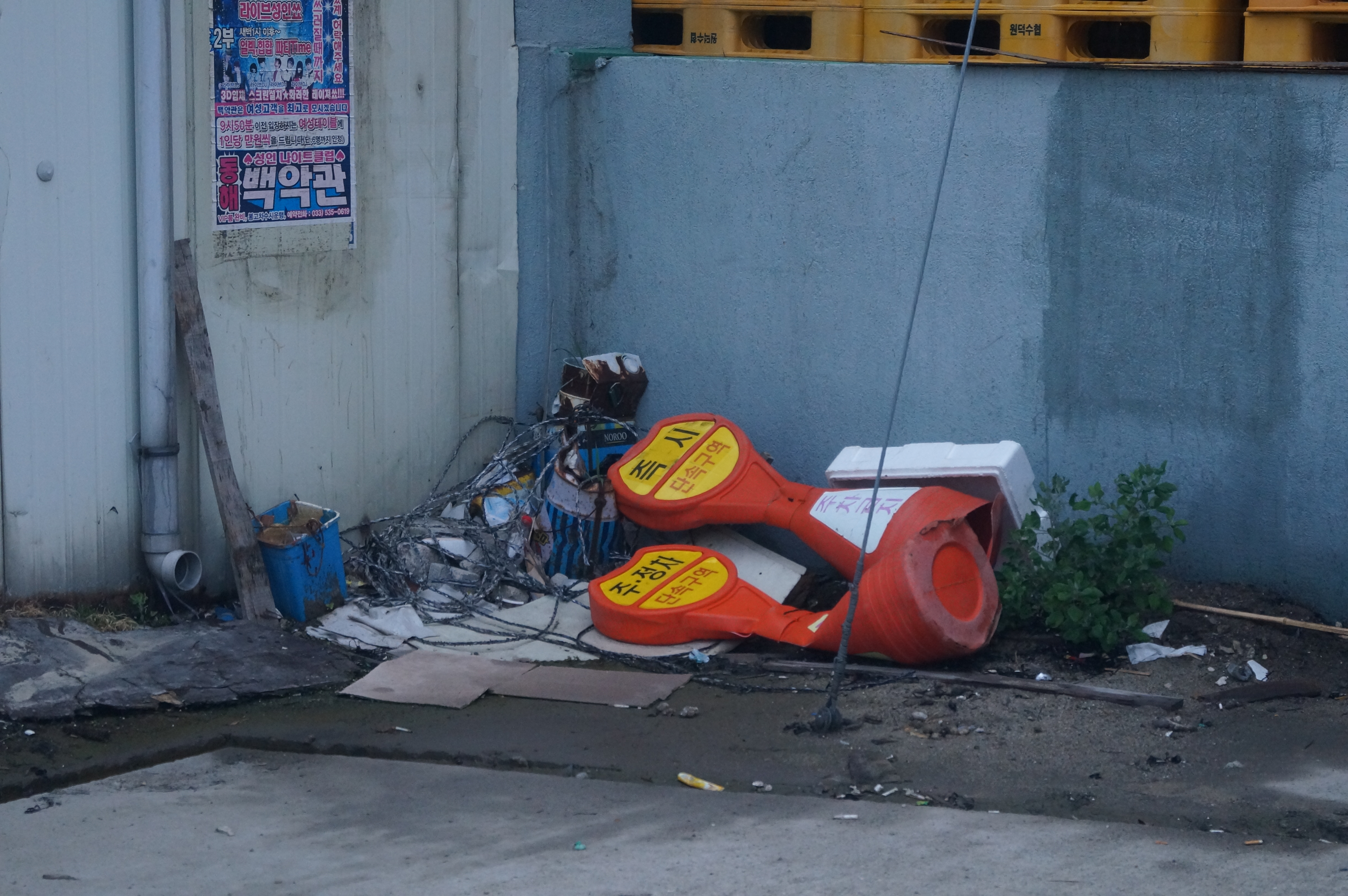 DSC00917.JPG