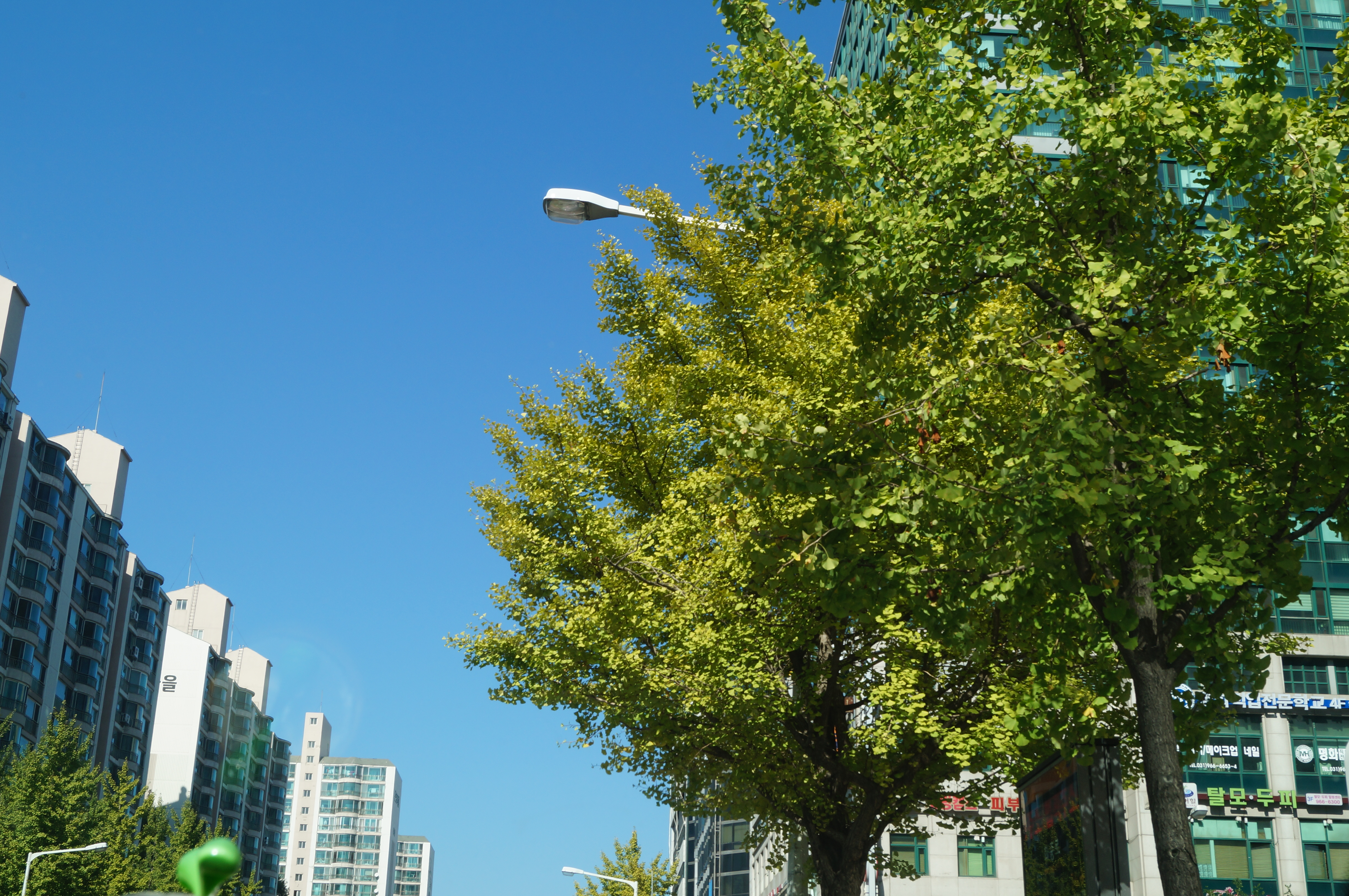DSC00971.JPG