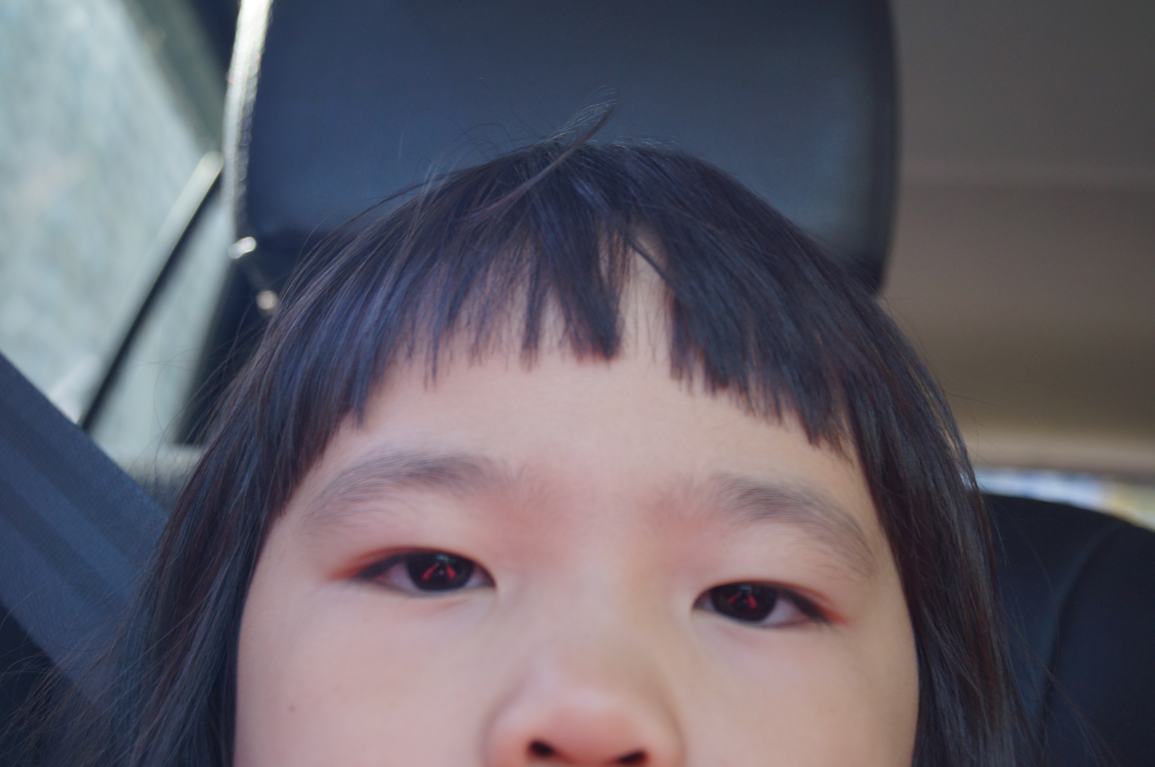 DSC00973.JPG