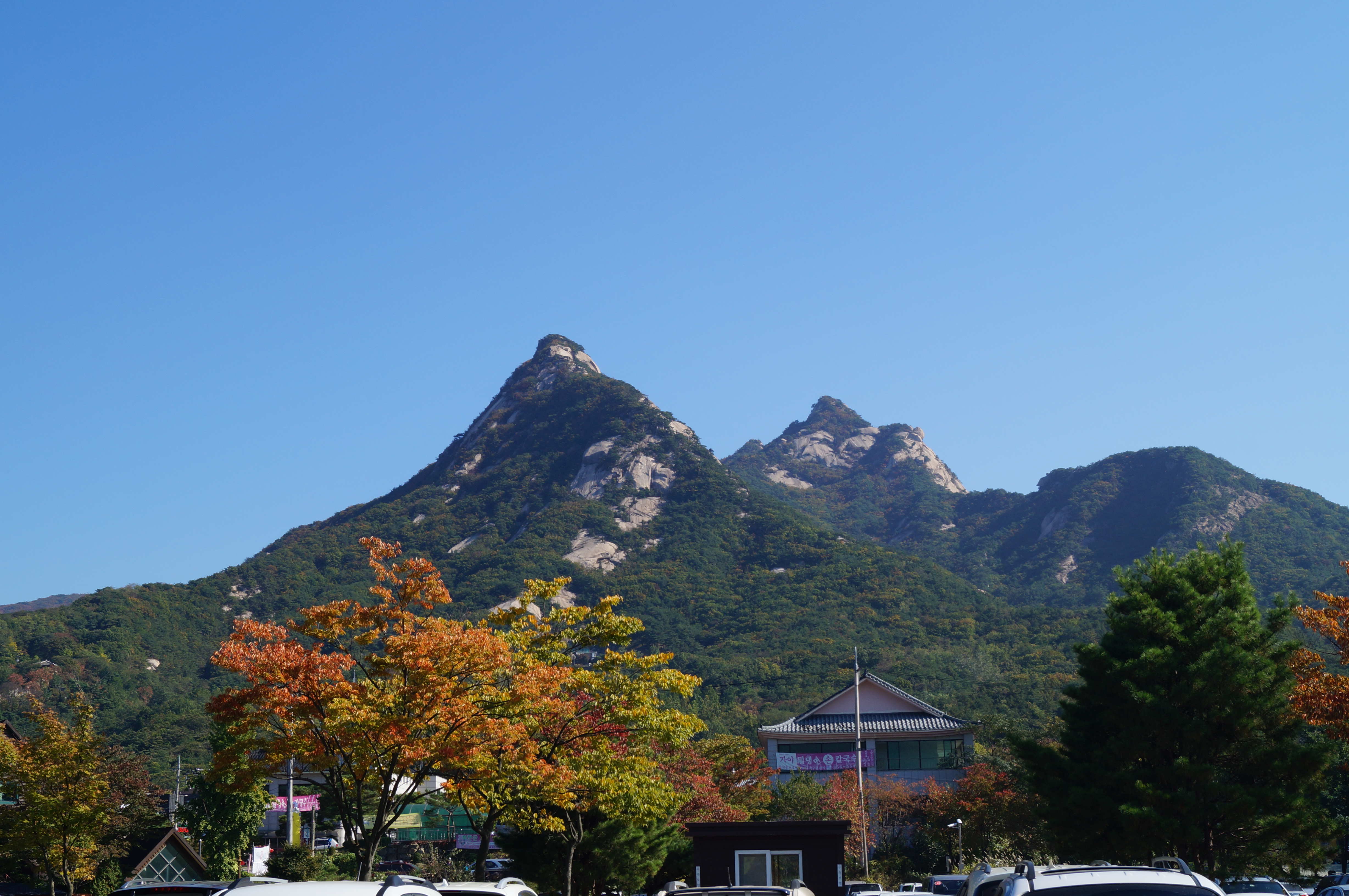 DSC00974.JPG