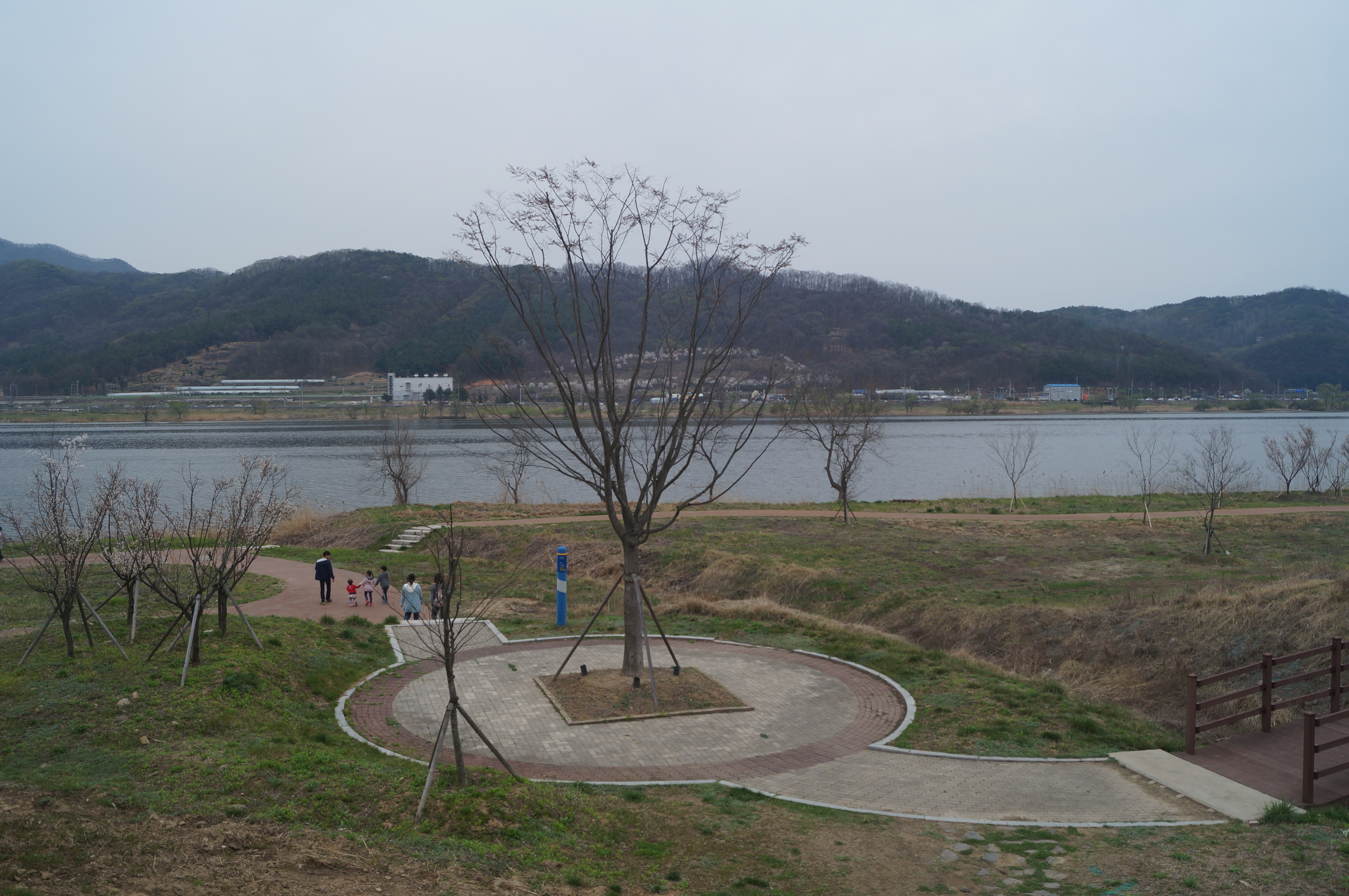 DSC00983.JPG