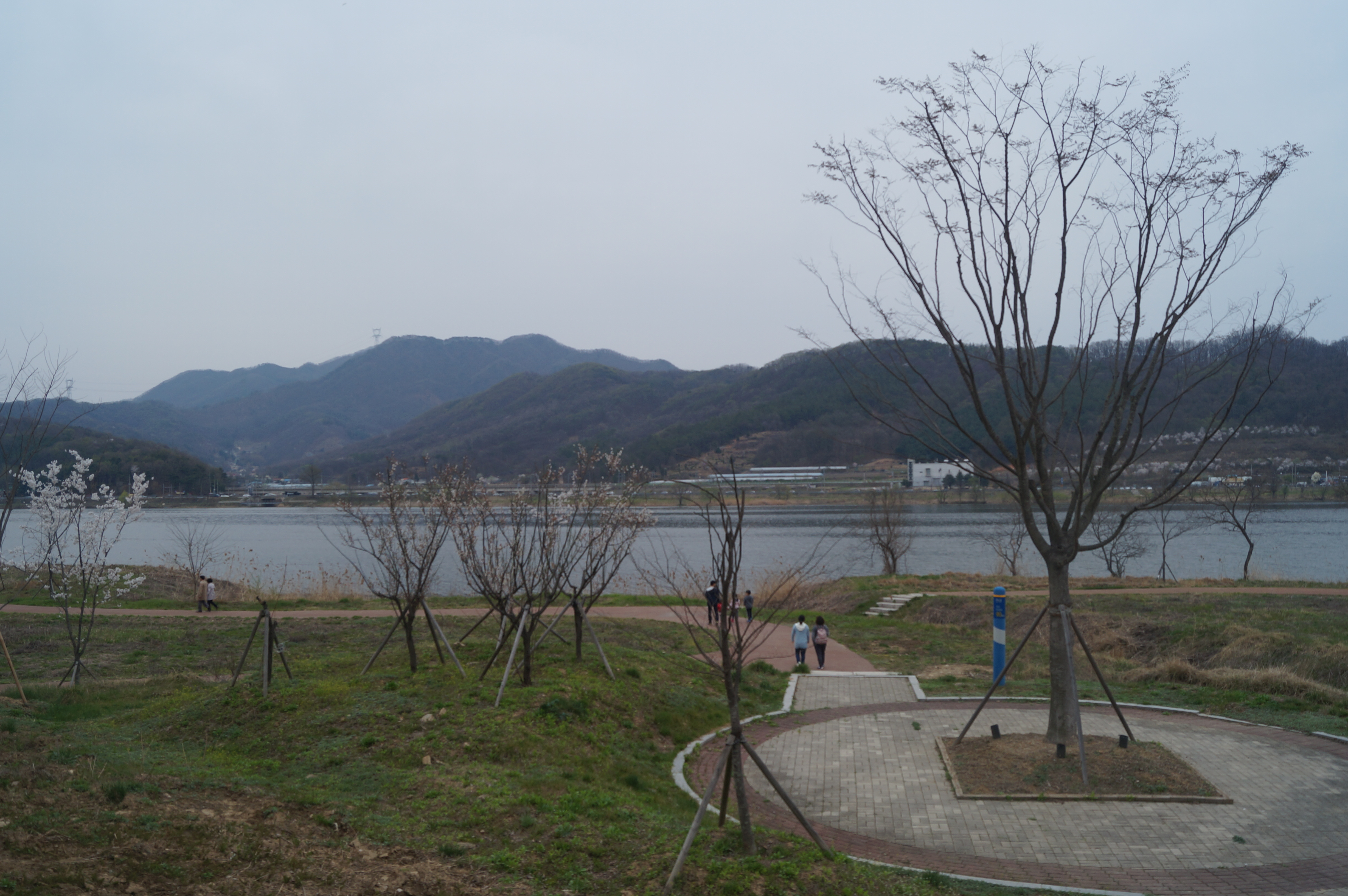 DSC00984.JPG