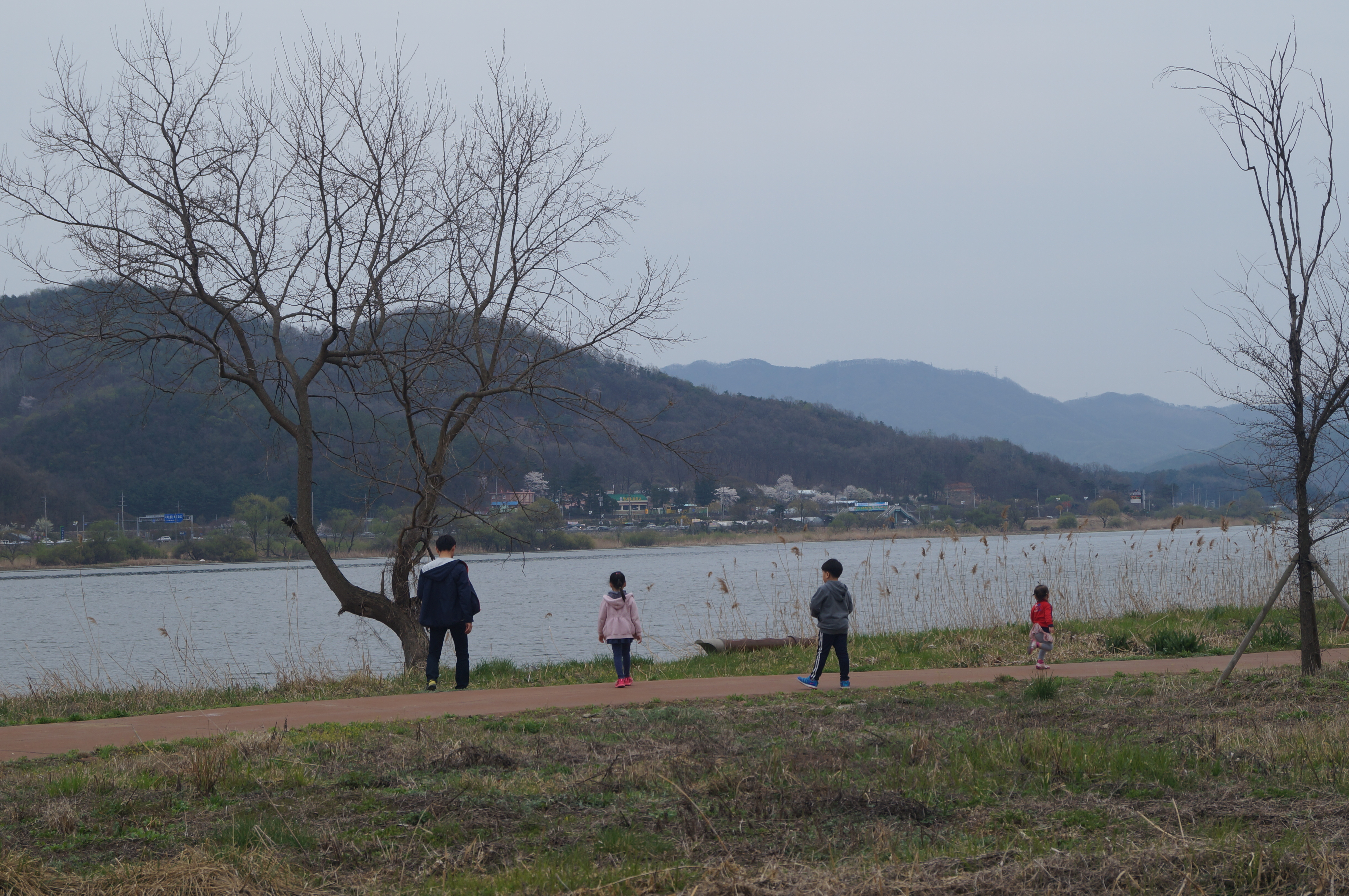 DSC00987.JPG