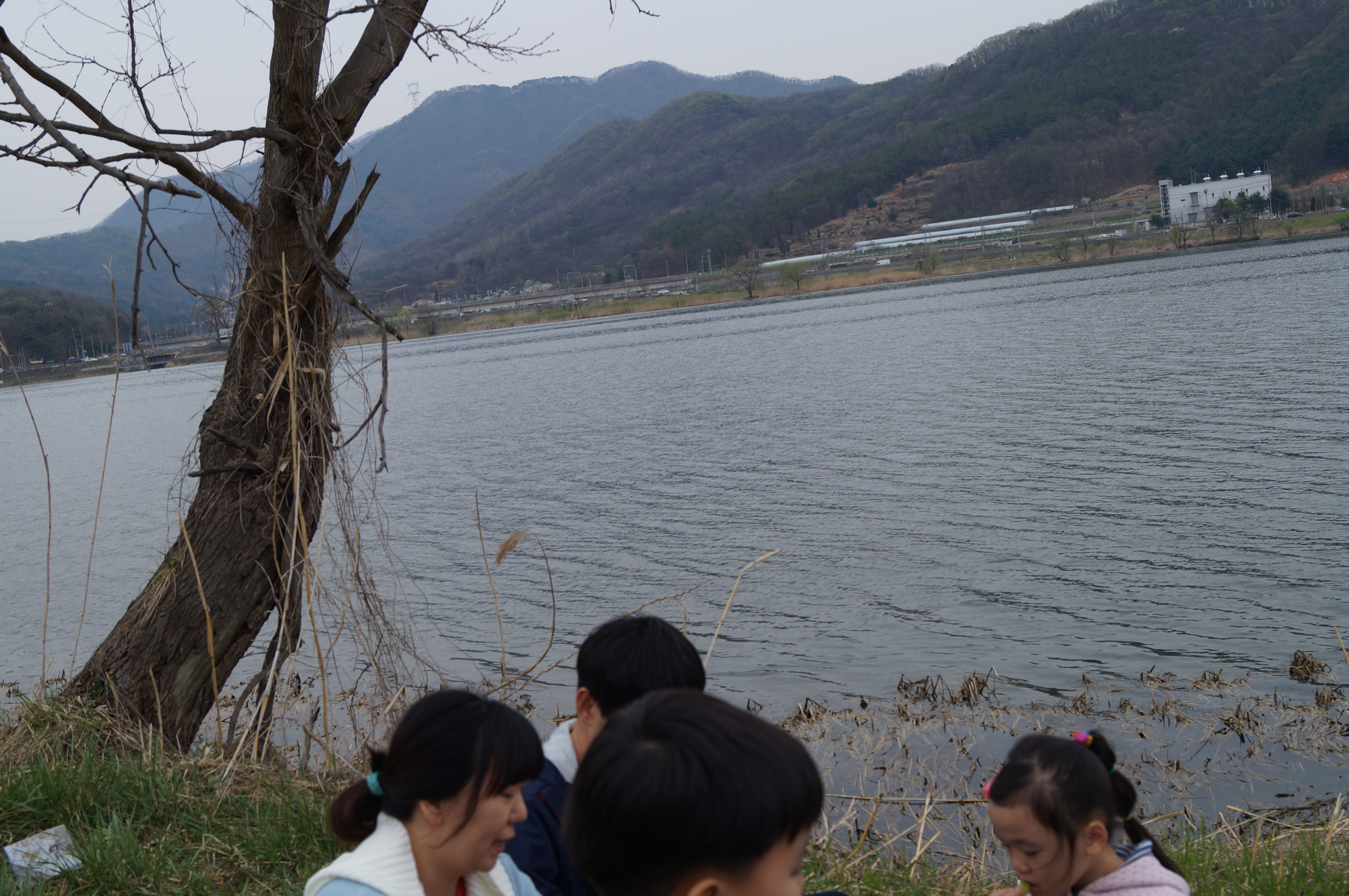 DSC01008.JPG