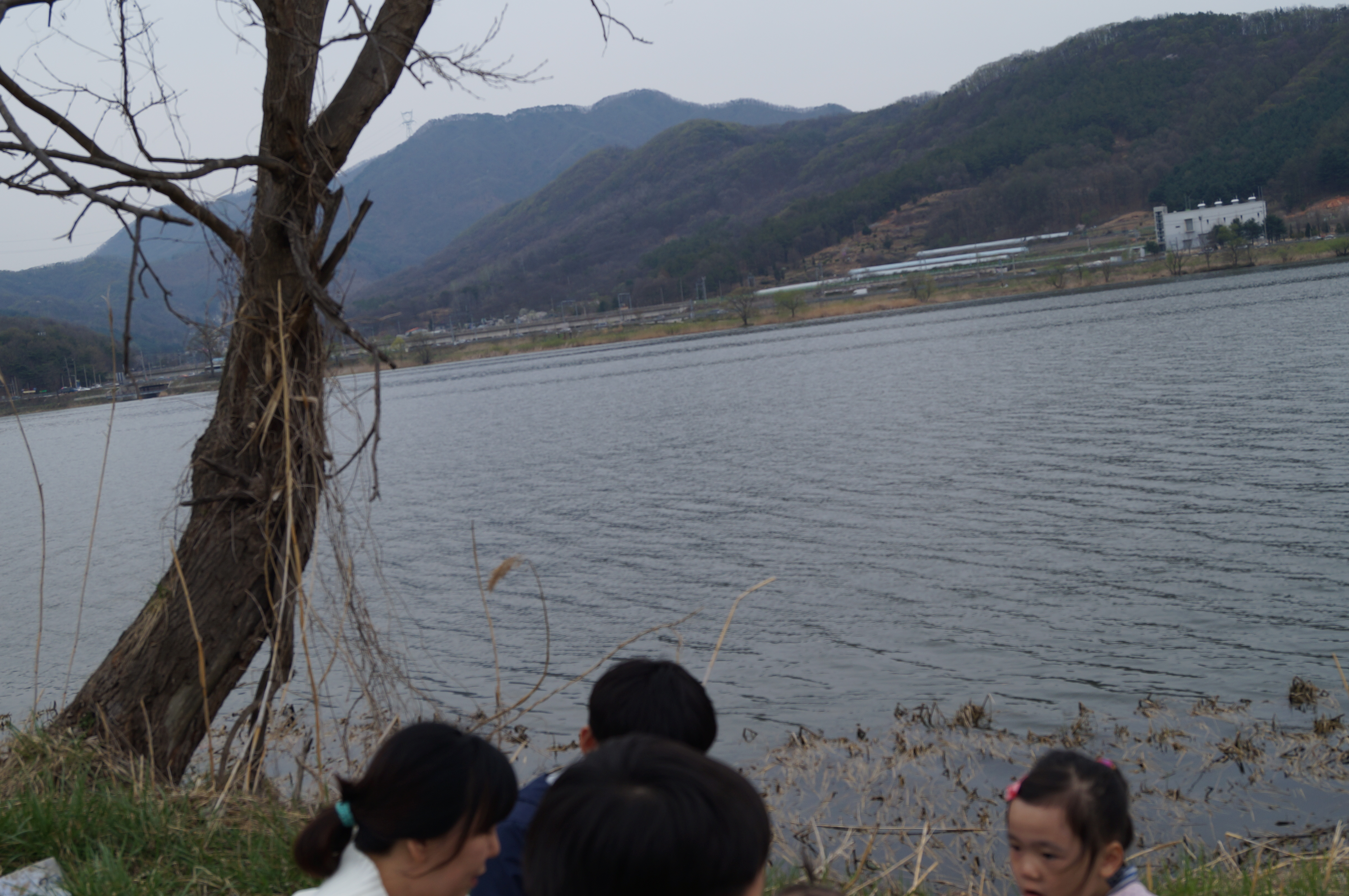 DSC01009.JPG