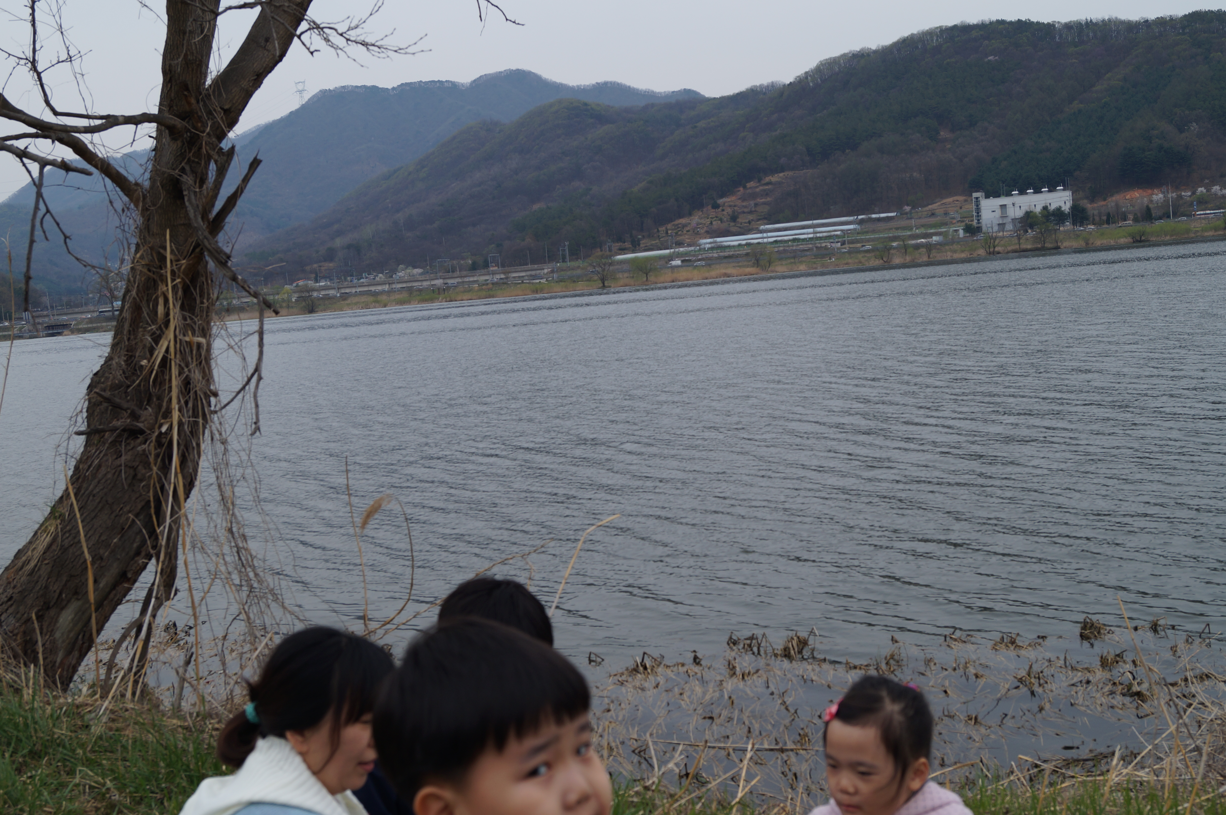 DSC01010.JPG