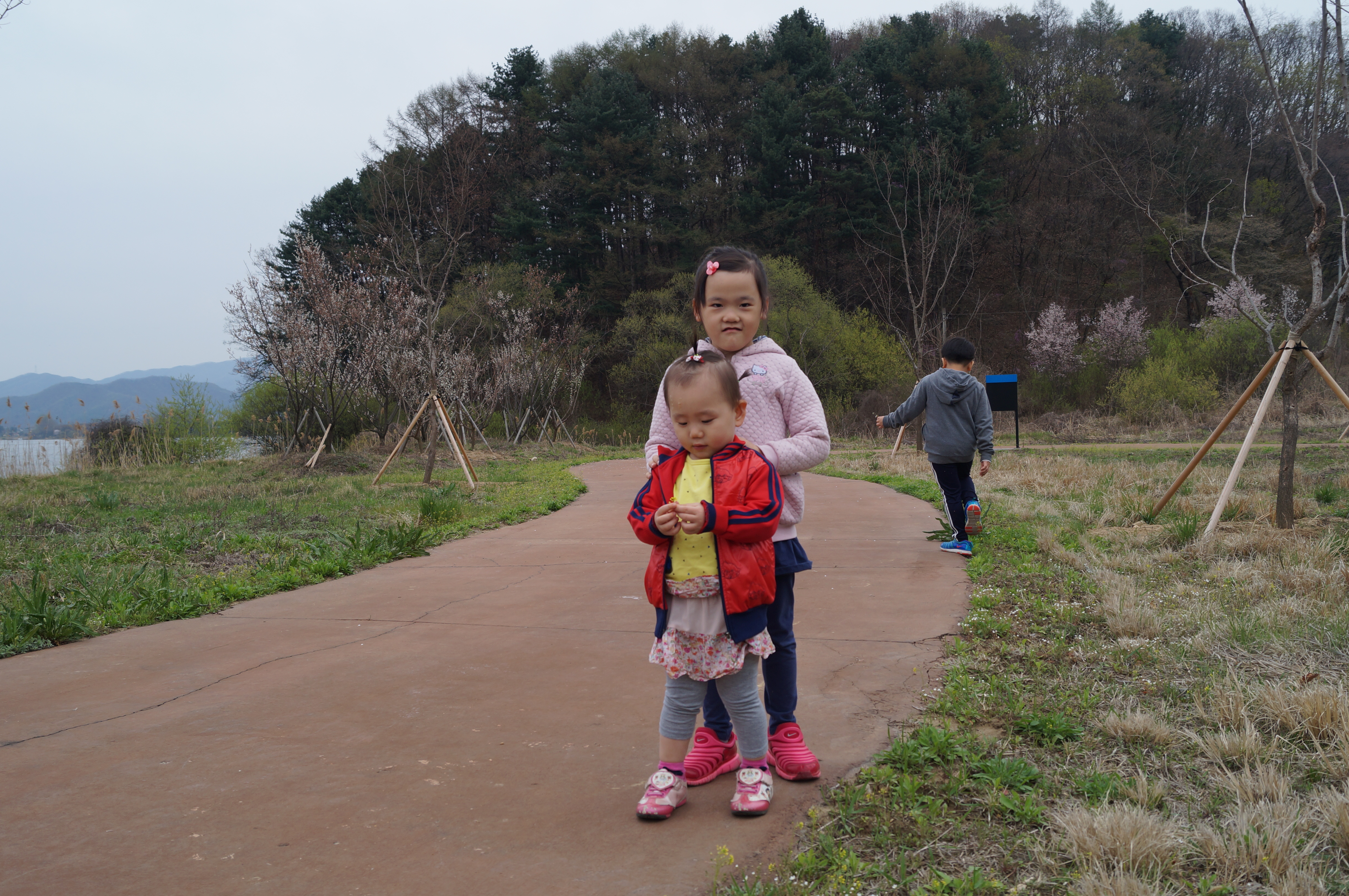 DSC01013.JPG