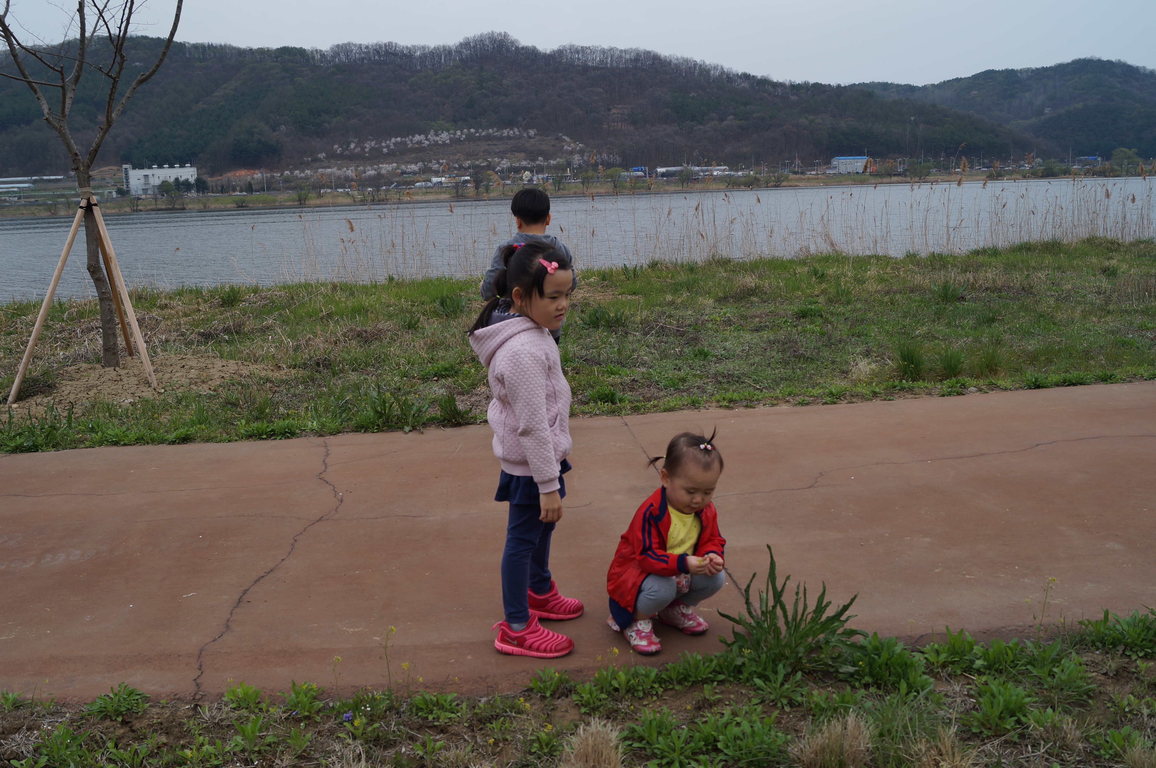 DSC01016.JPG