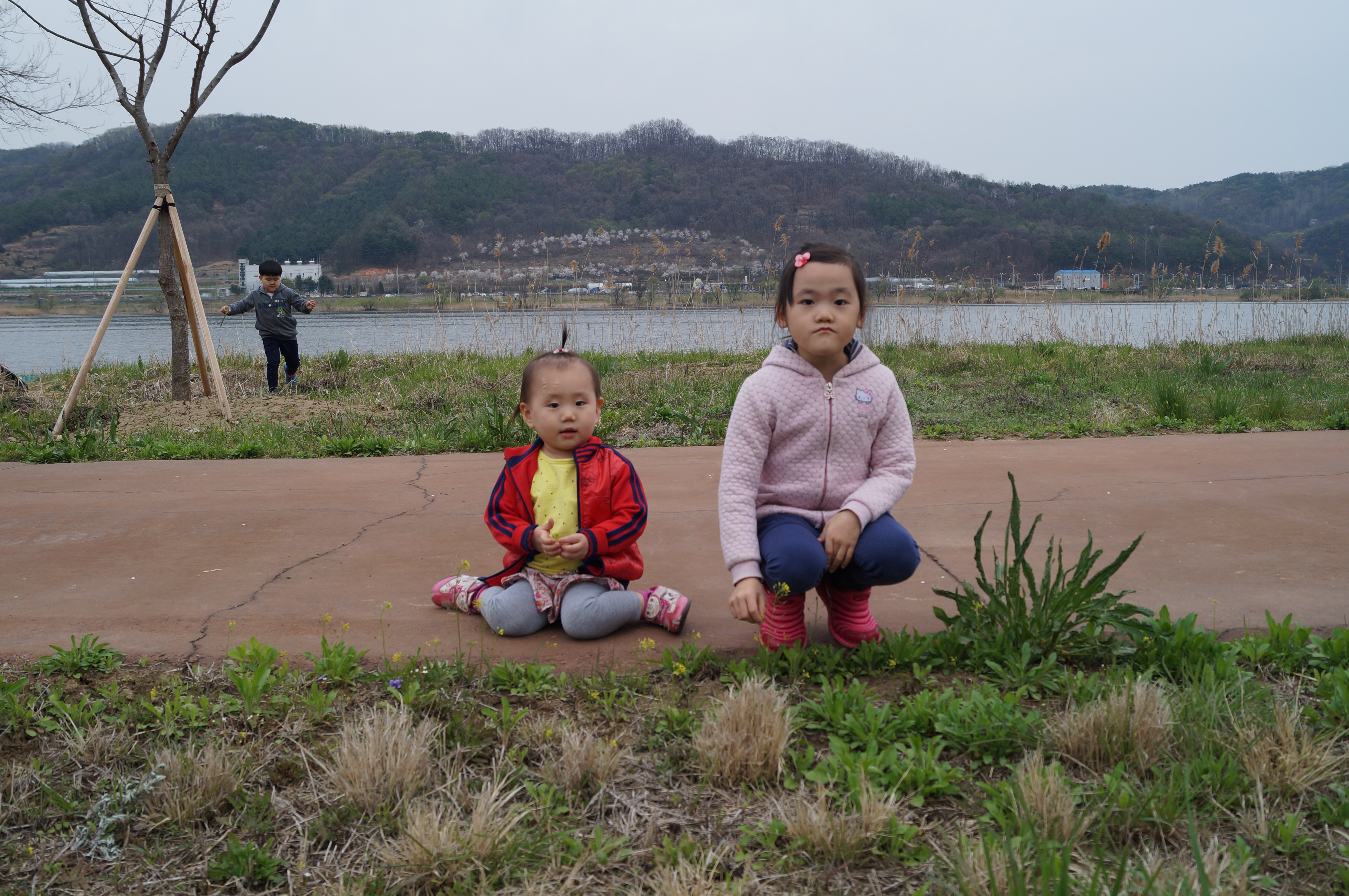 DSC01017.JPG