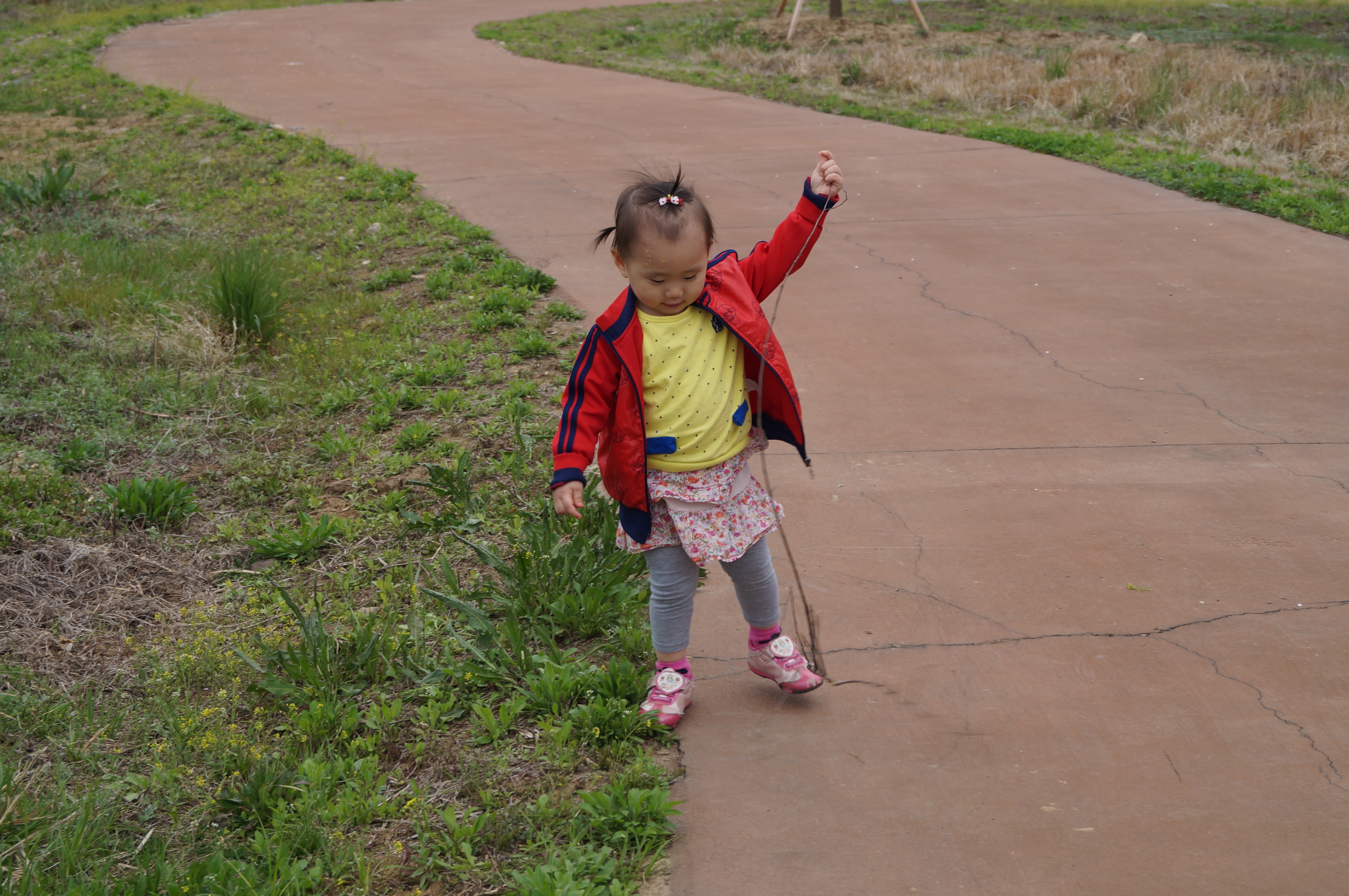 DSC01040.JPG