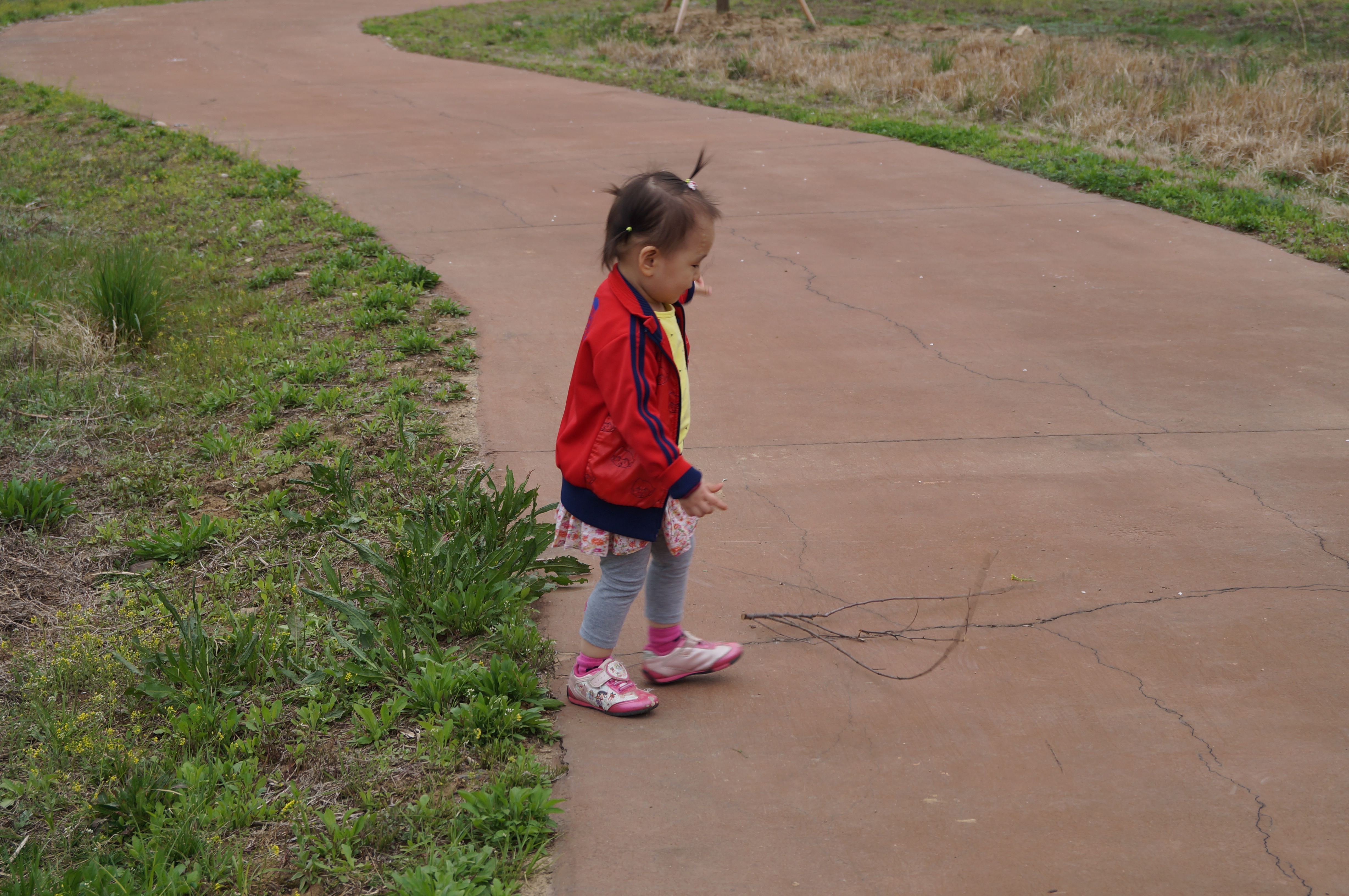 DSC01042.JPG