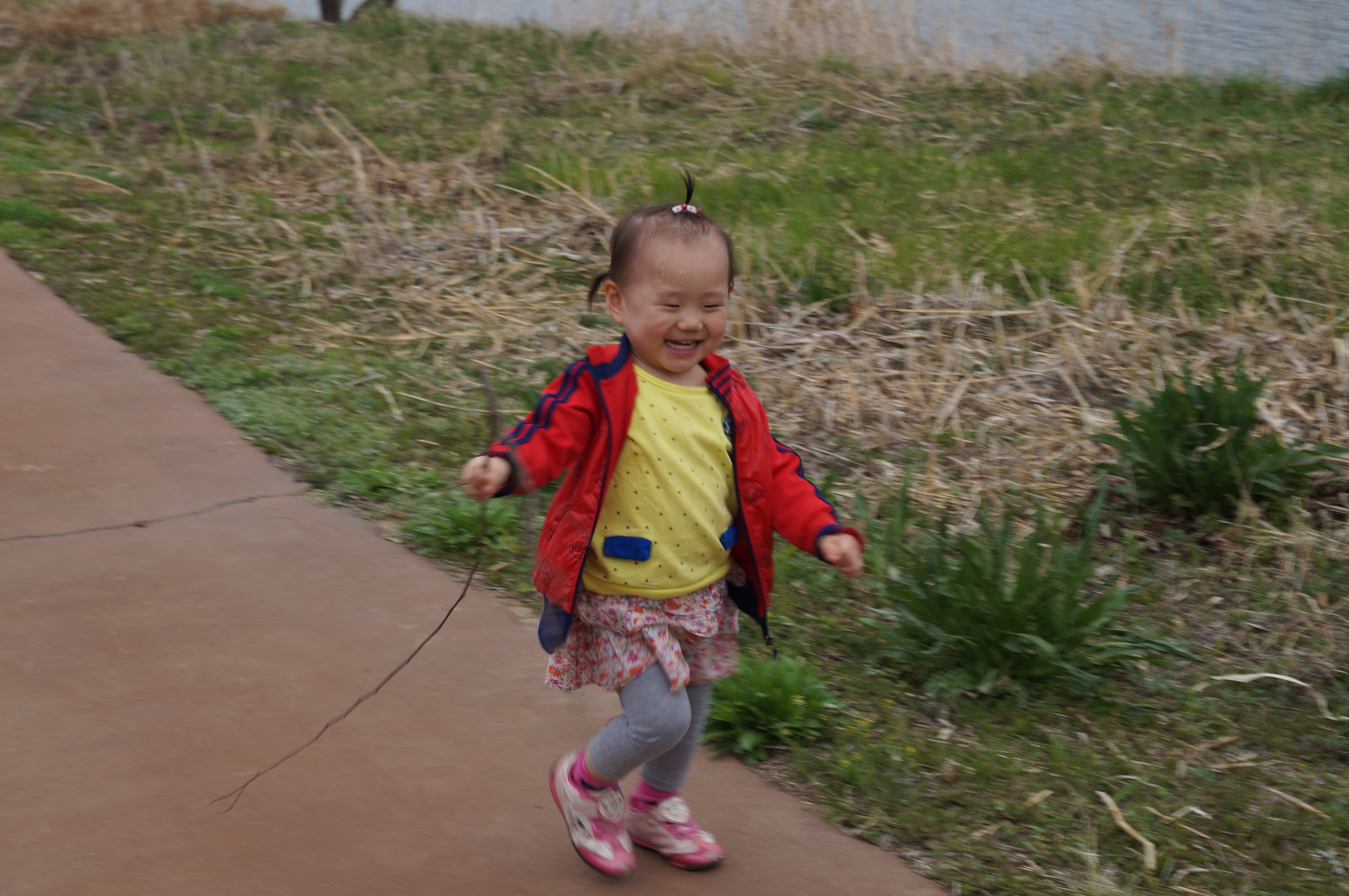 DSC01049.JPG