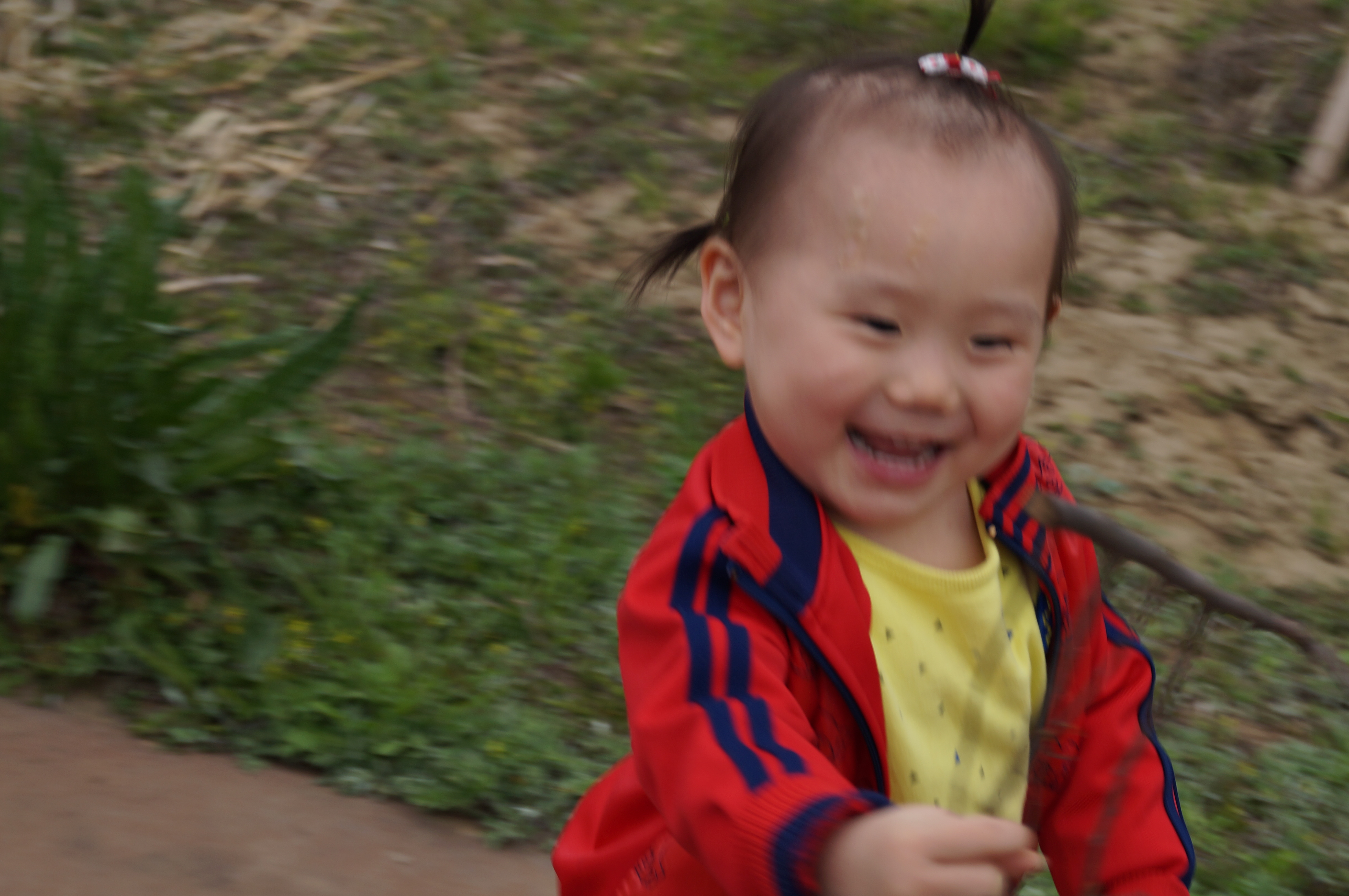 DSC01050.JPG