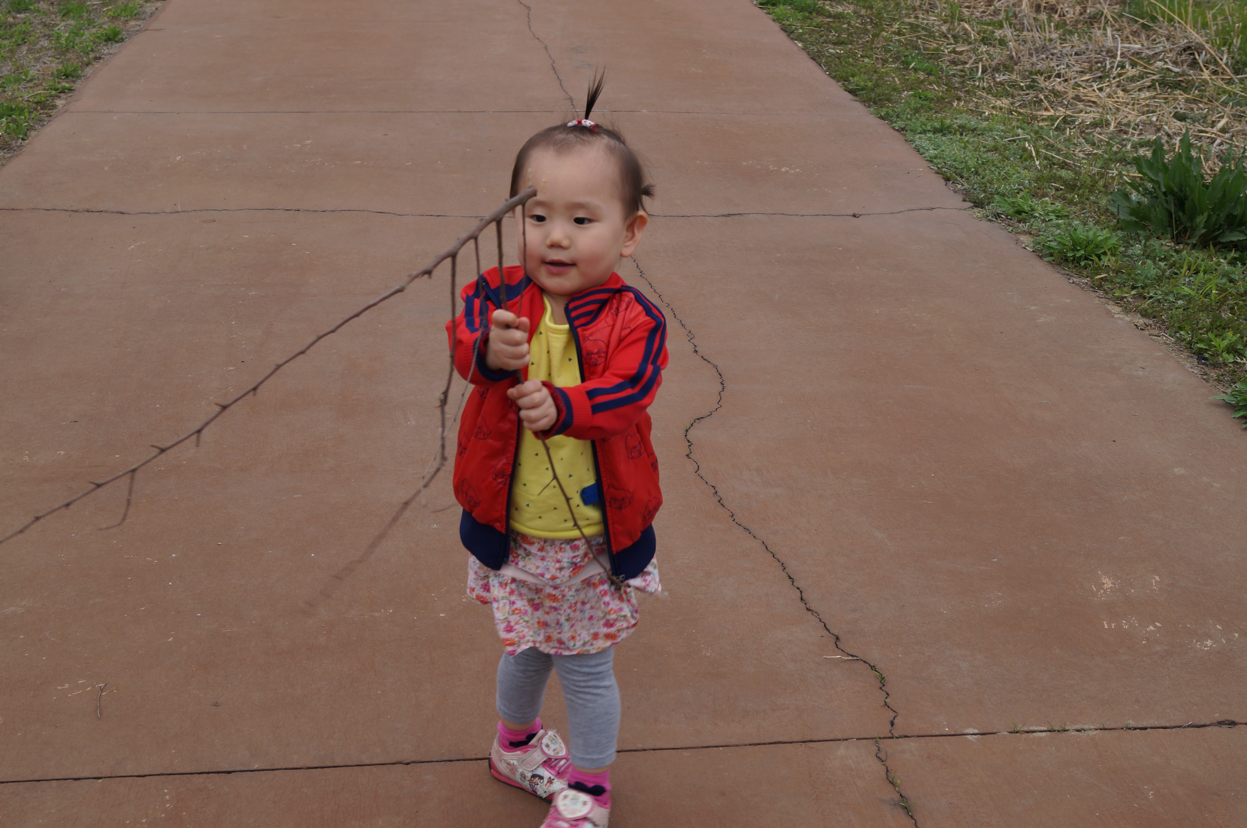 DSC01052.JPG